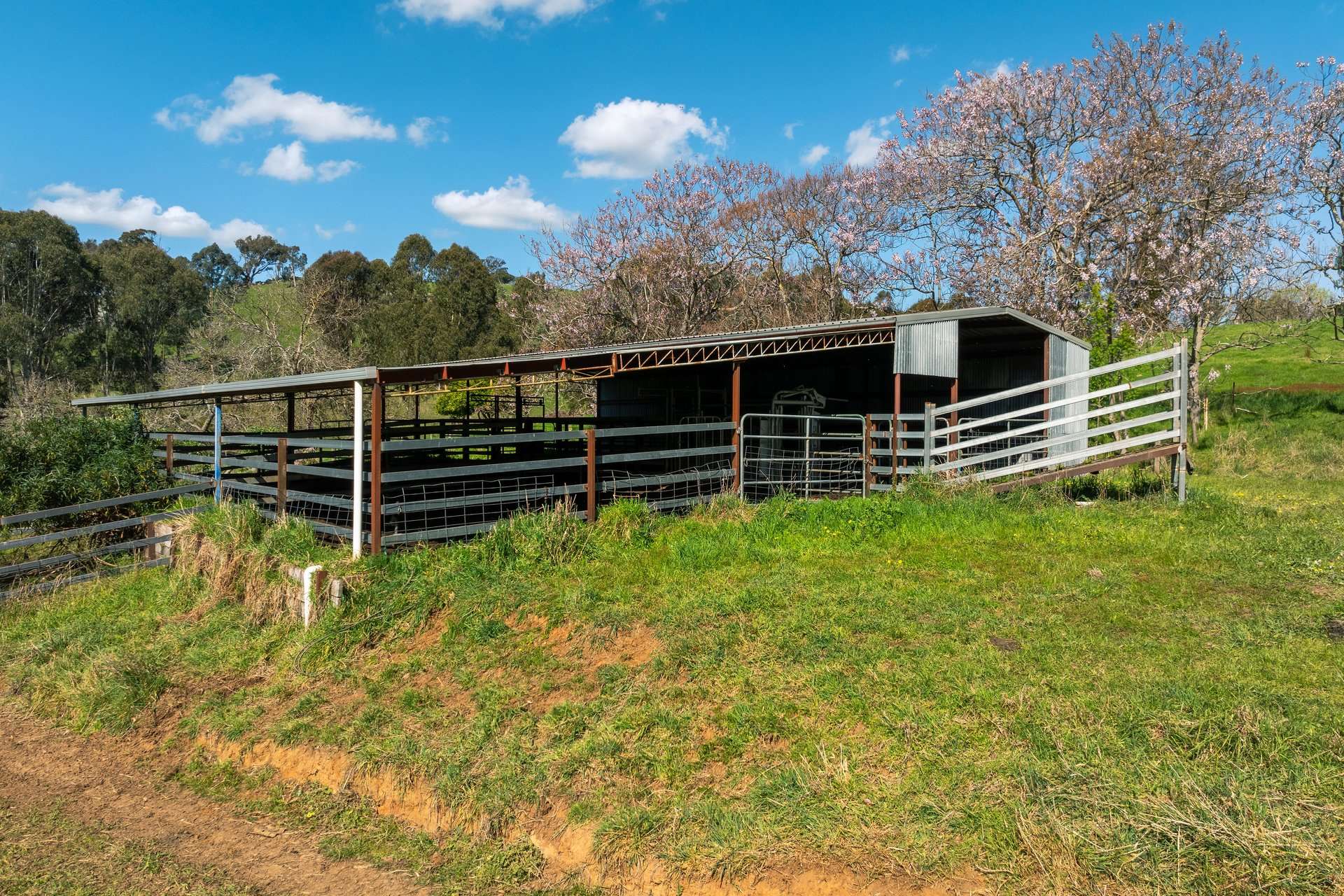 315 Davies Road, Warrenbayne Sold by Farmbuy.com - image 14