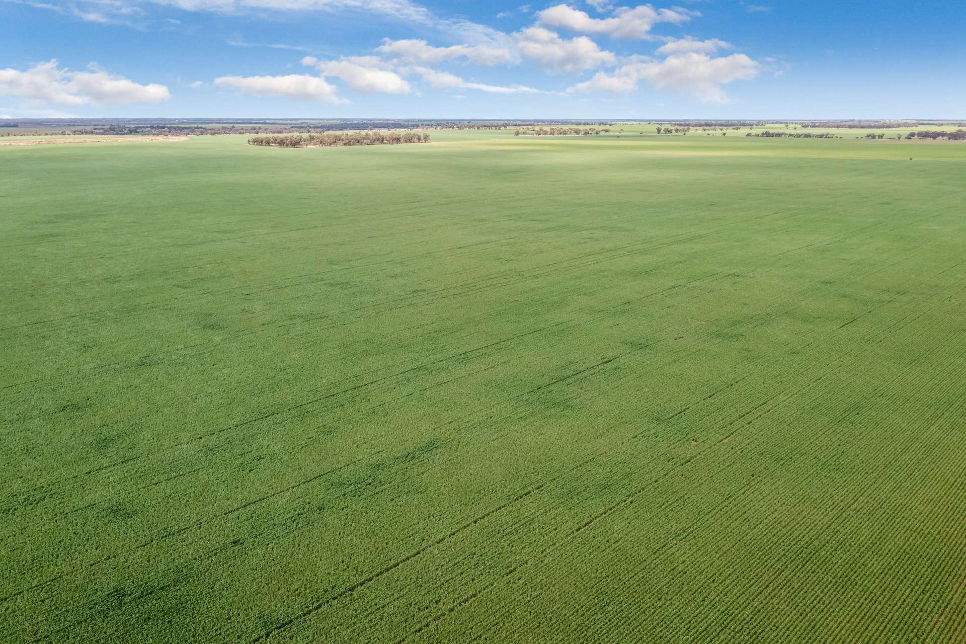 - Woorinen-Goschen Road, Woorinen South For Sale by Farmbuy.com - image 13