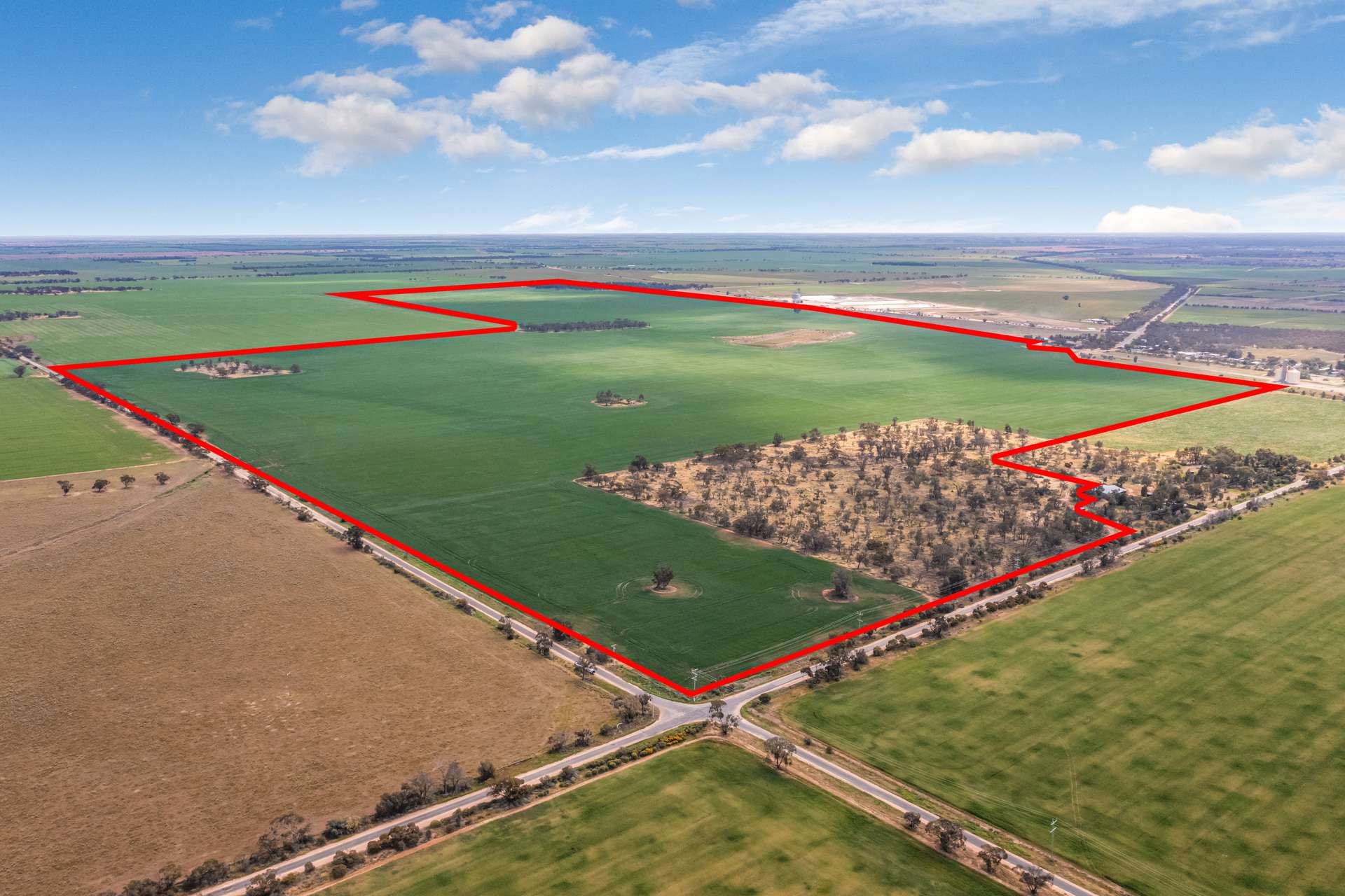- Woorinen-Goschen Road, Woorinen South For Sale by Farmbuy.com - image 5