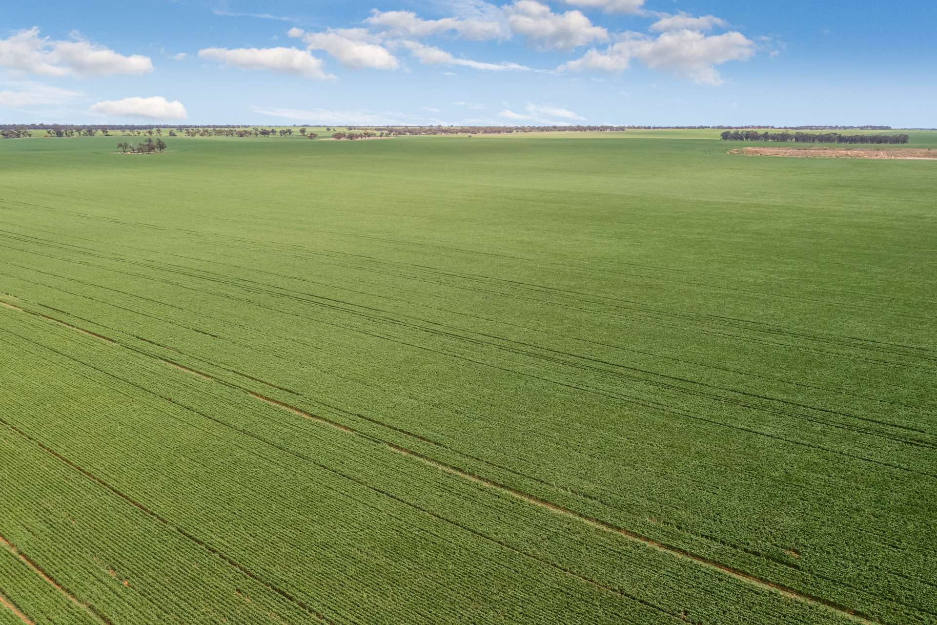 - Woorinen-Goschen Road, Woorinen South For Sale by Farmbuy.com - image 2