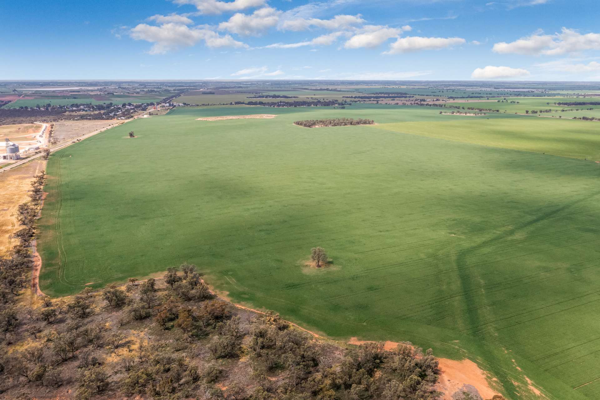 - Woorinen-Goschen Road, Woorinen South For Sale by Farmbuy.com - image 11