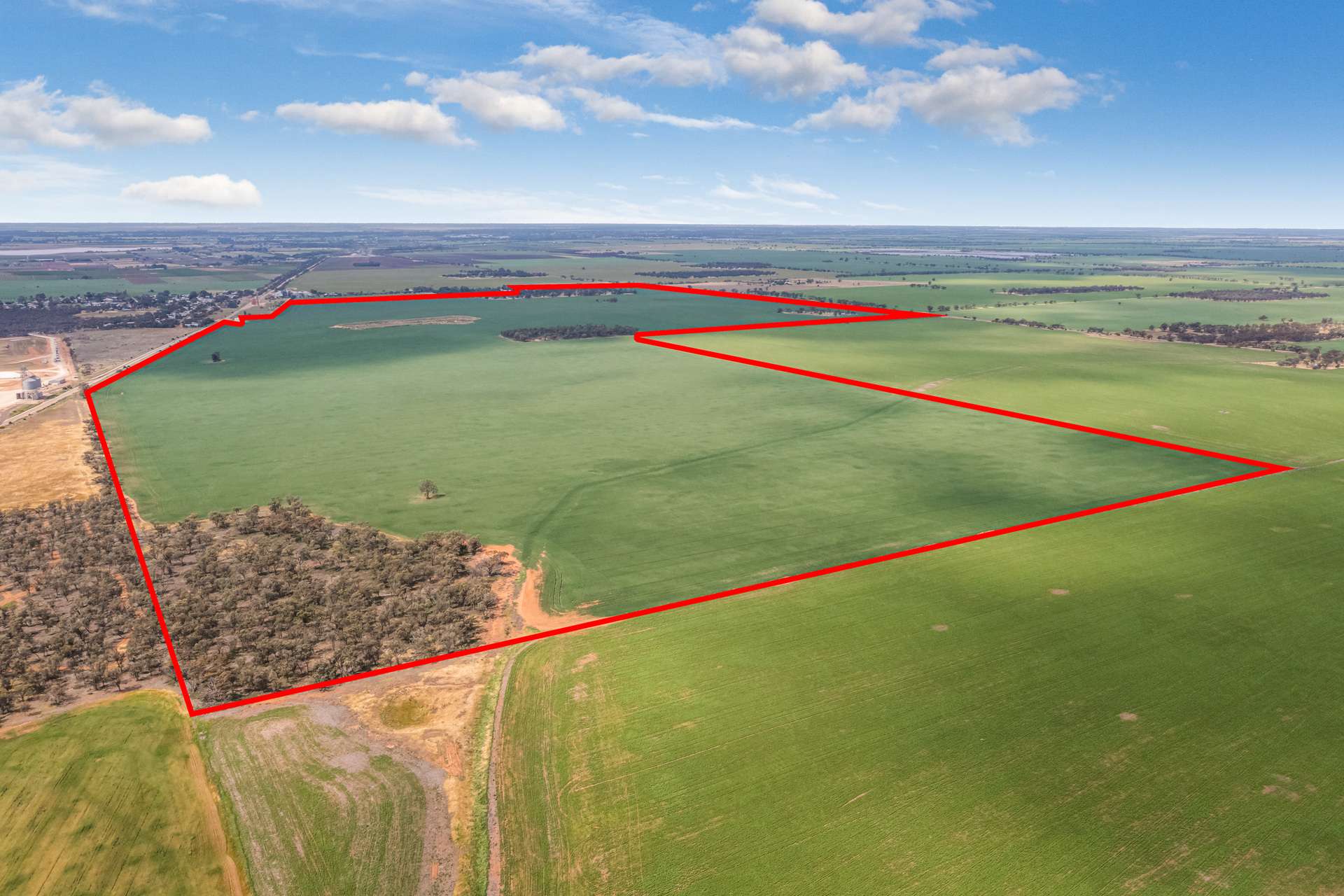 - Woorinen-Goschen Road, Woorinen South For Sale by Farmbuy.com - image 4