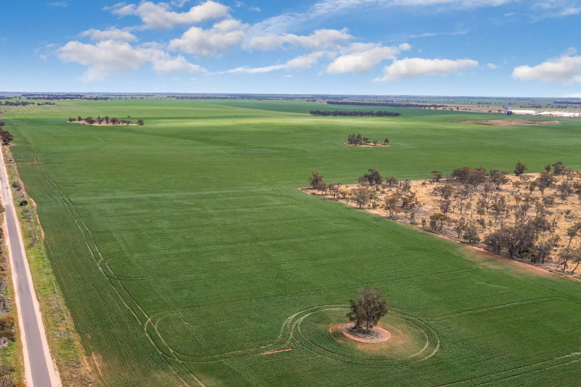 - Woorinen-Goschen Road, Woorinen South For Sale by Farmbuy.com - image 9