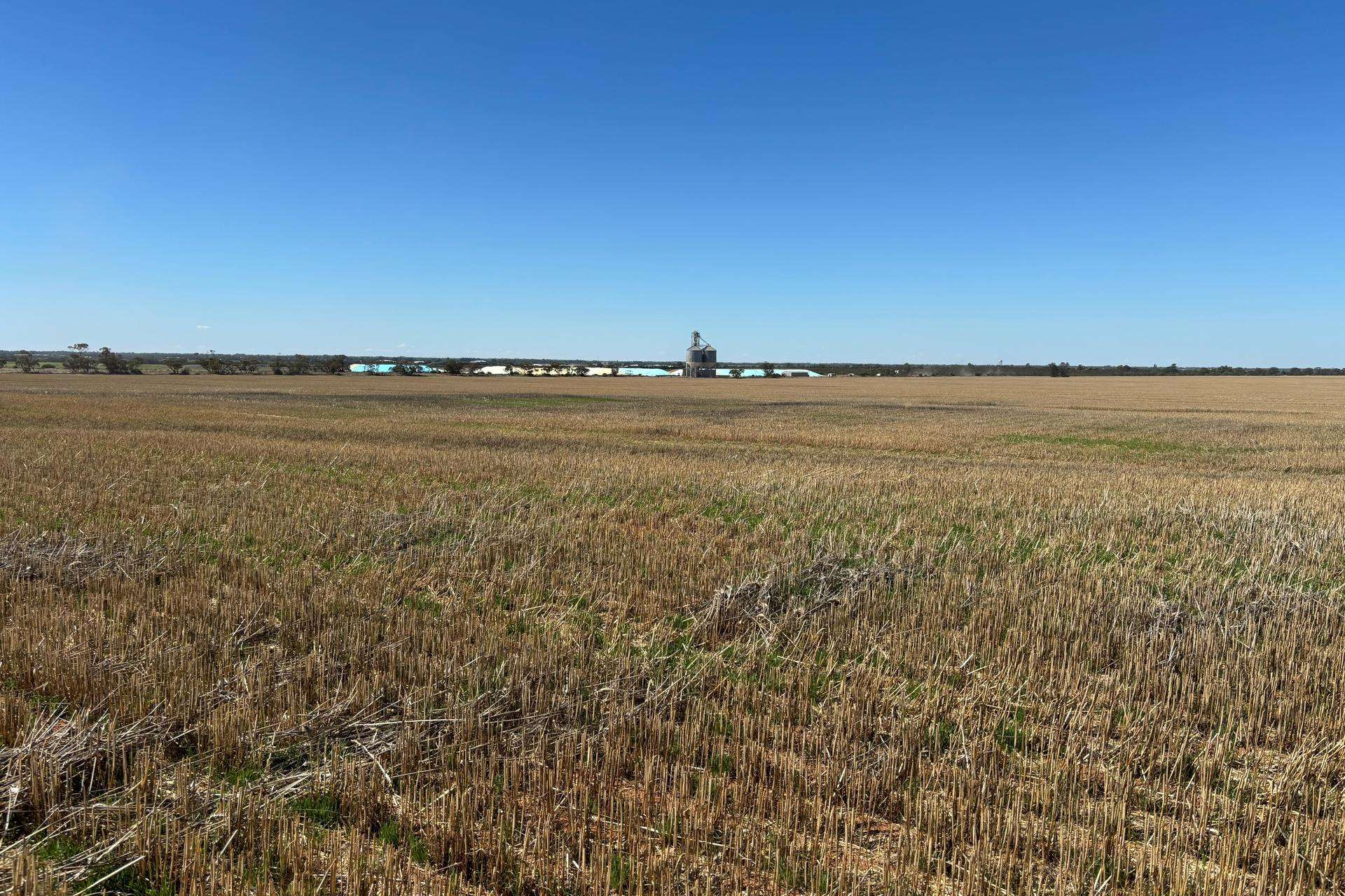 - Woorinen-Goschen Road, Woorinen South For Sale by Farmbuy.com - image 3