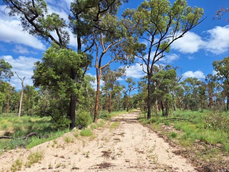 6743 Dunrobin Road, Jericho For Sale by Farmbuy.com - image 18