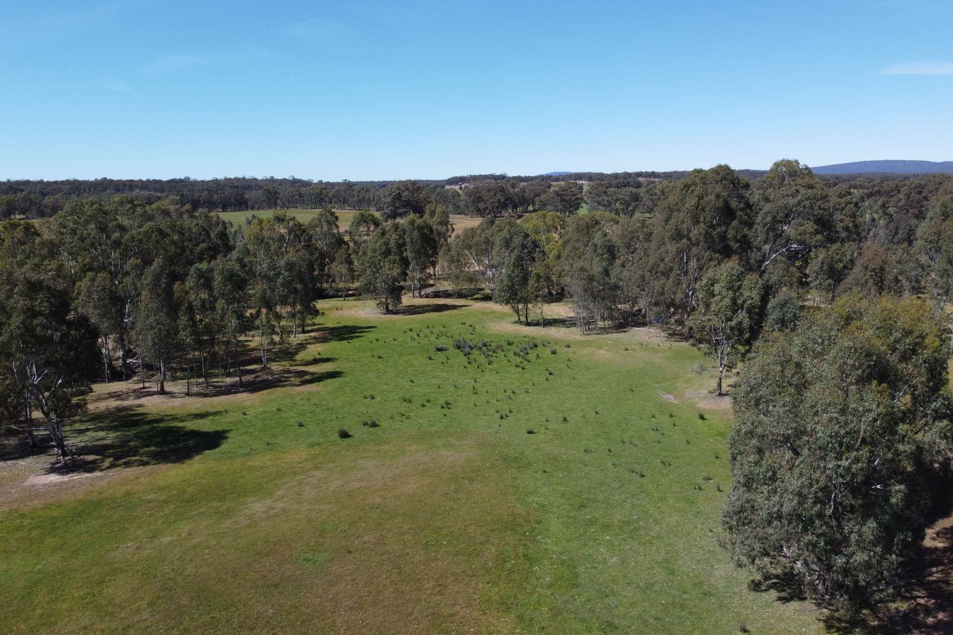 Rocky Ridge Road, Carapooee Sold by Farmbuy.com - image 1