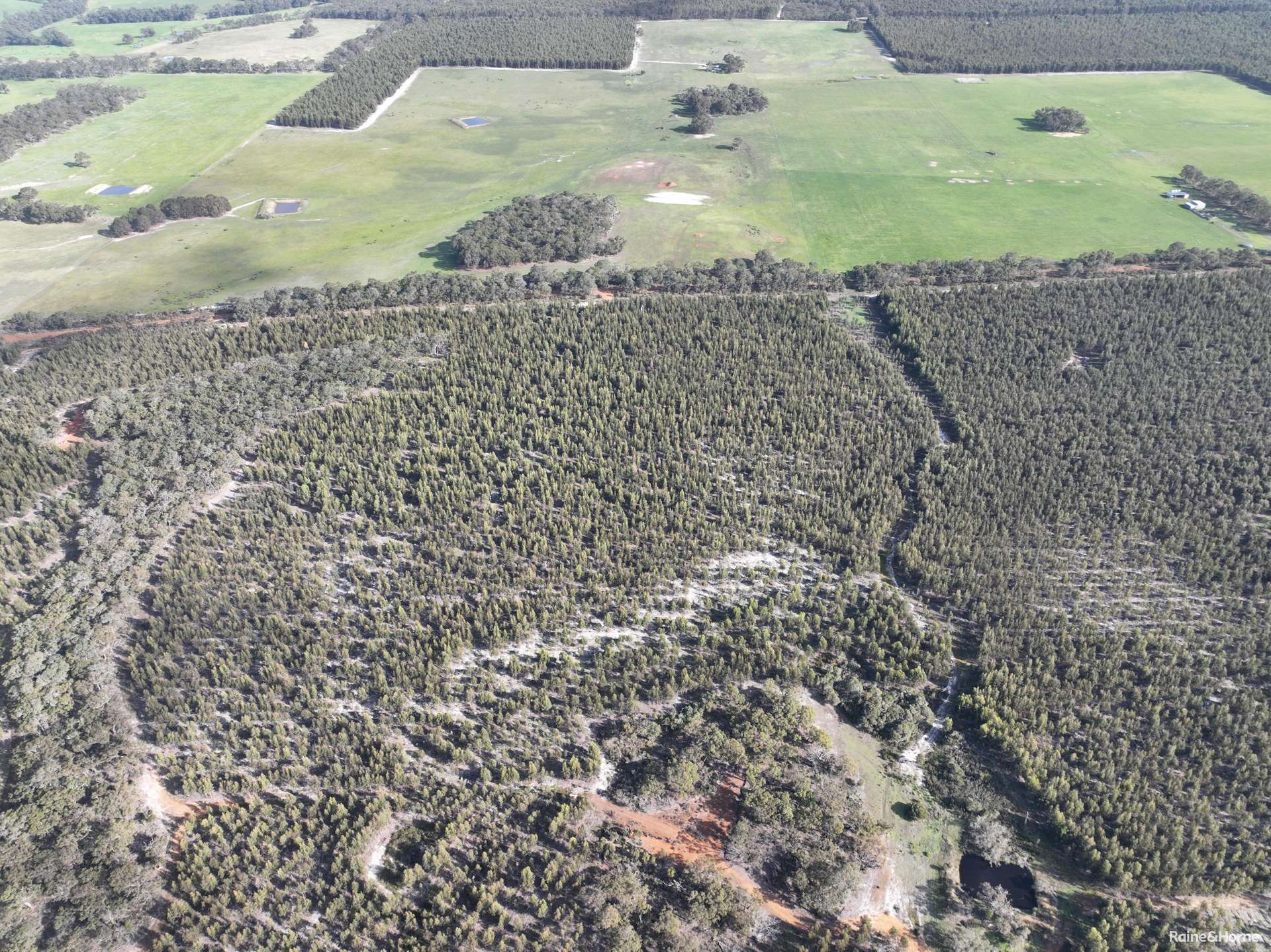 Lot 5809 Takenup Road, Napier For Sale by Farmbuy.com - image 5