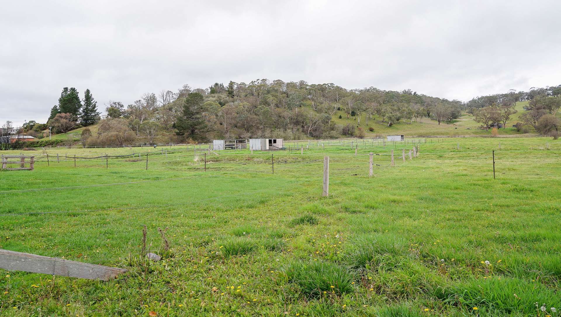 105s Derby Street, Walcha For Sale by Farmbuy.com - image 10