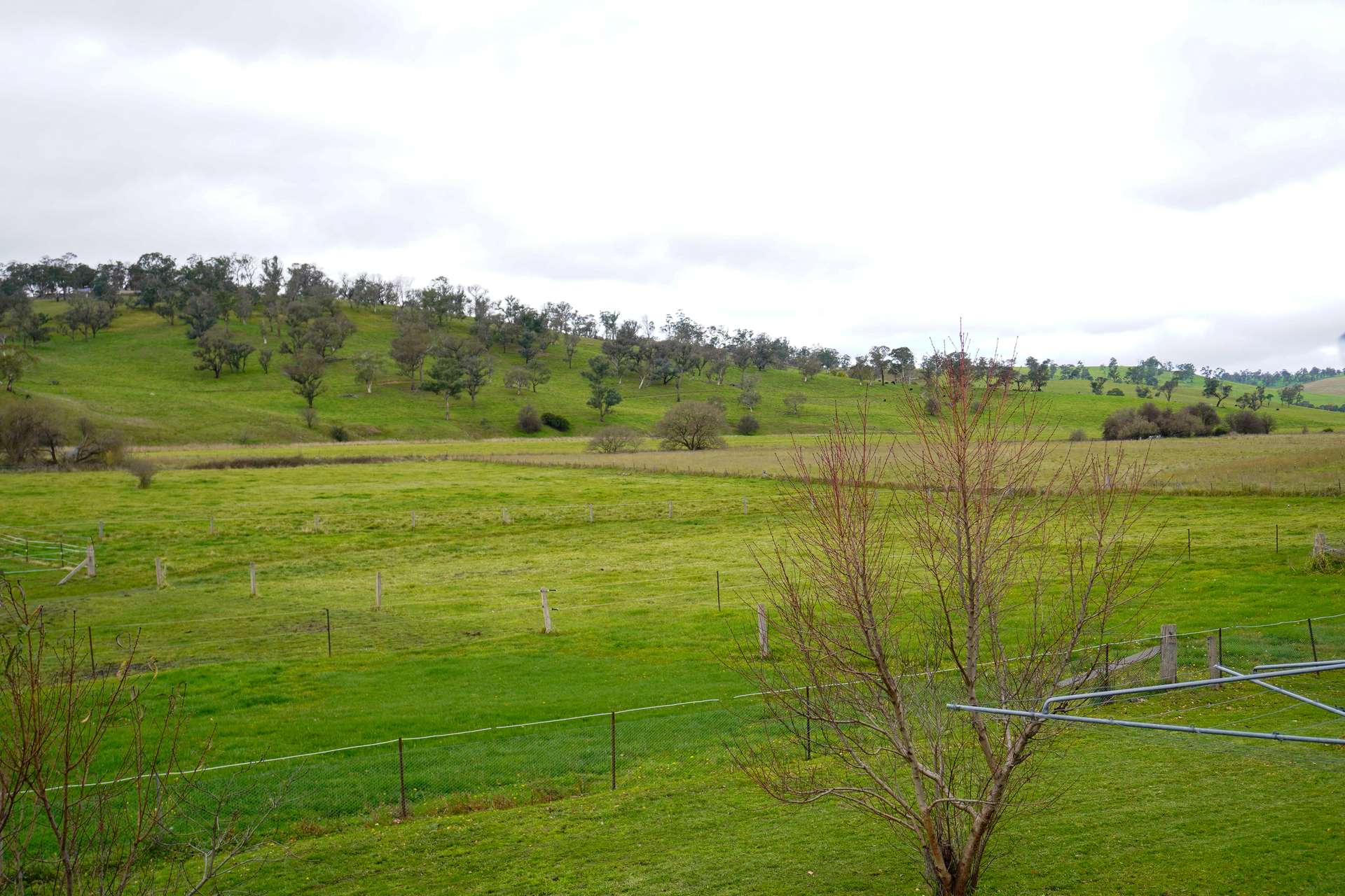105s Derby Street, Walcha For Sale by Farmbuy.com - image 13