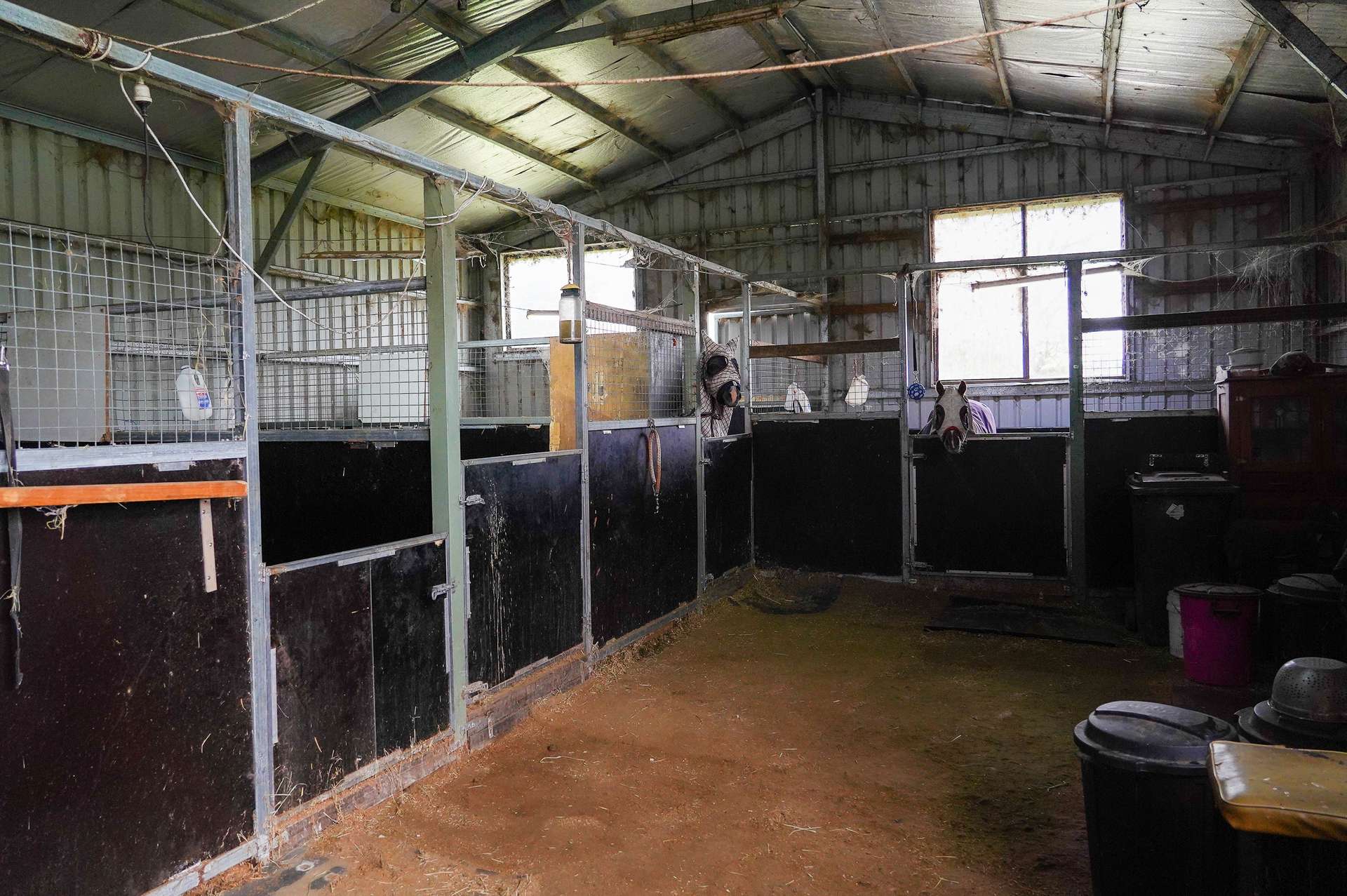 105s Derby Street, Walcha For Sale by Farmbuy.com - image 15
