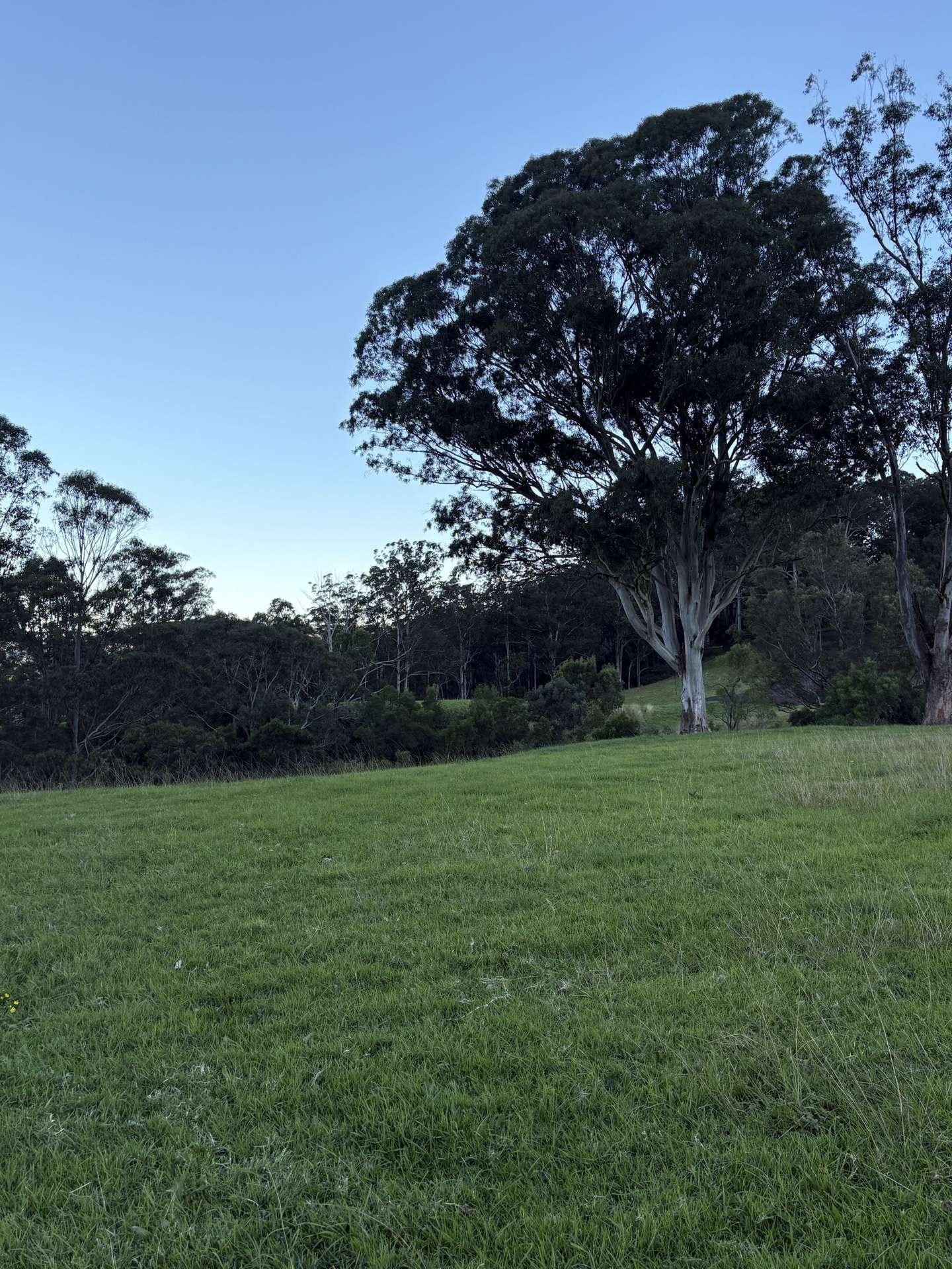 2393 Moss Vale Road, Kangaroo Valley For Sale by Farmbuy.com - image 12