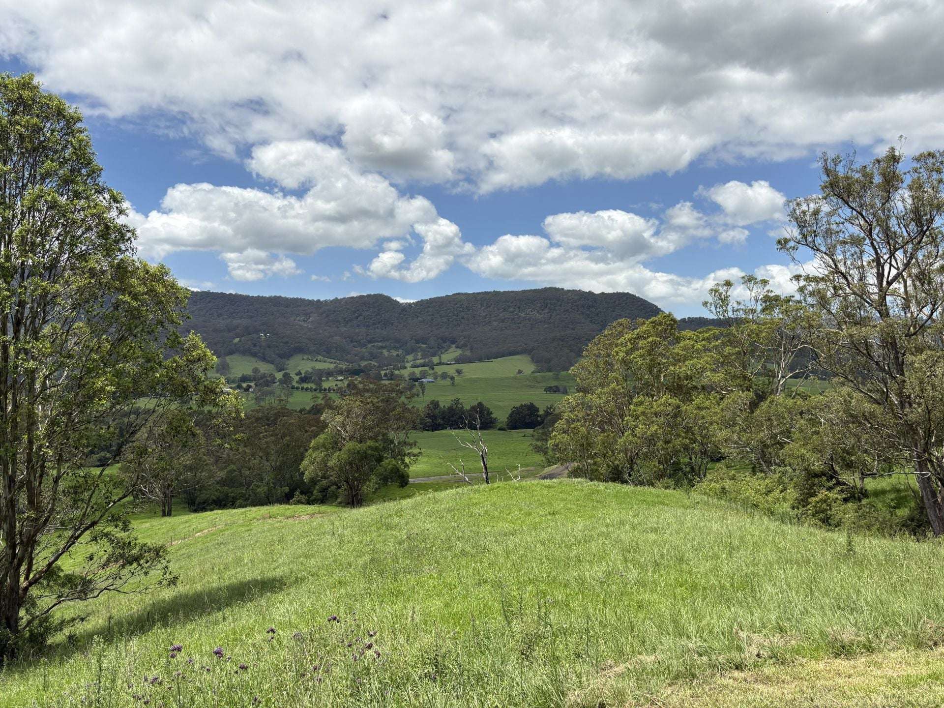 2393 Moss Vale Road, Kangaroo Valley For Sale by Farmbuy.com - image 16