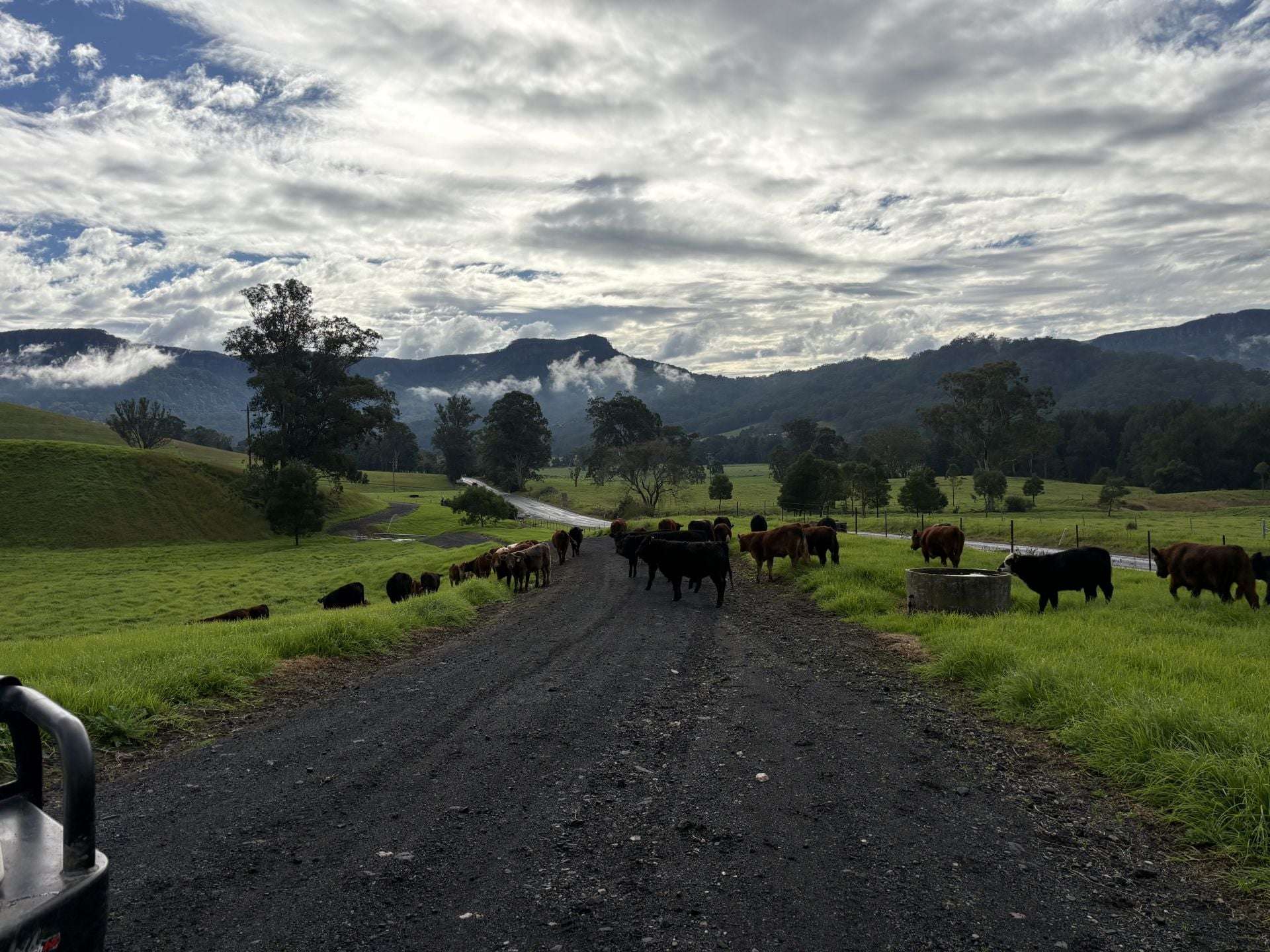2393 Moss Vale Road, Kangaroo Valley For Sale by Farmbuy.com - image 6