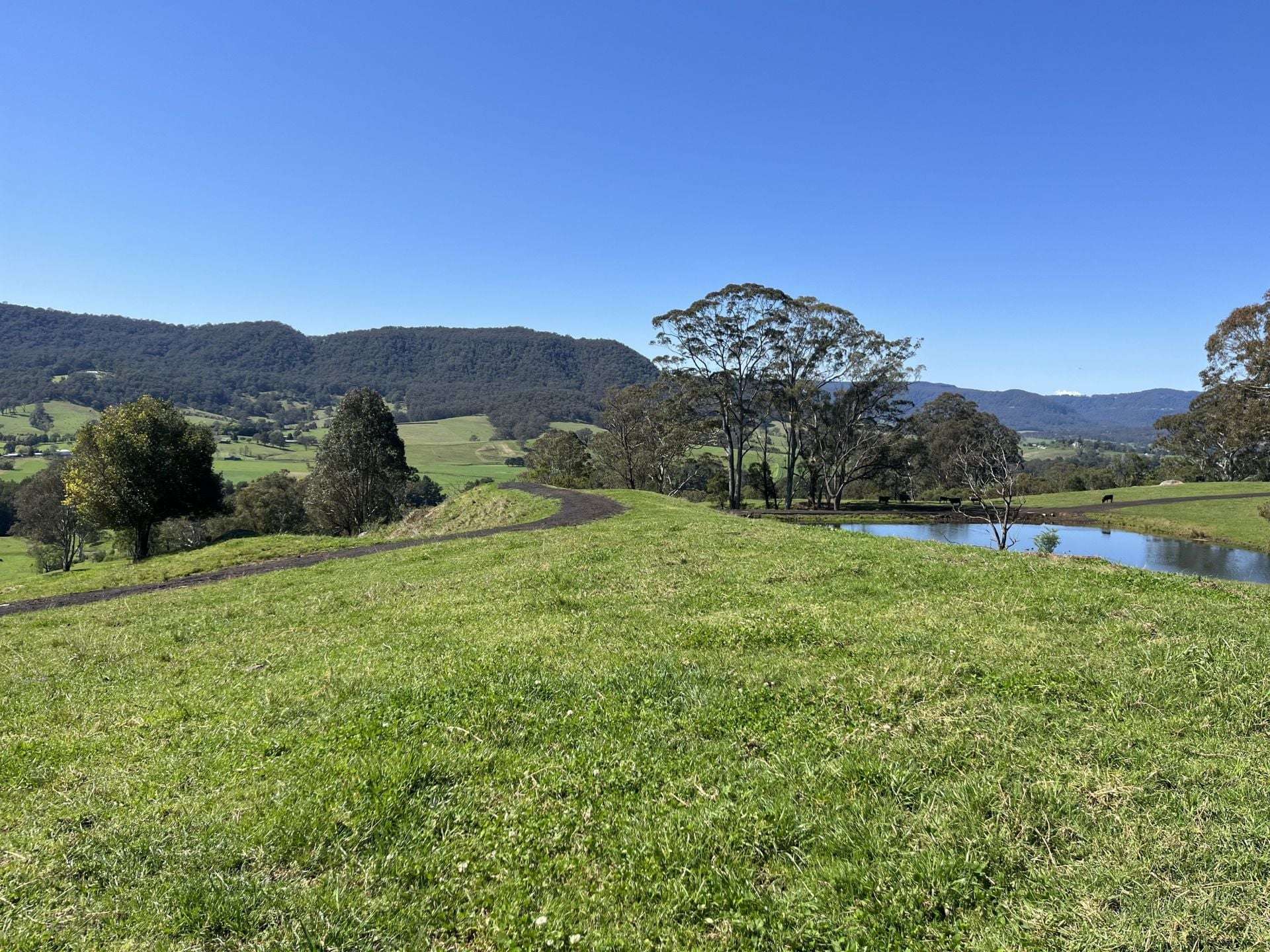 2393 Moss Vale Road, Kangaroo Valley For Sale by Farmbuy.com - image 33