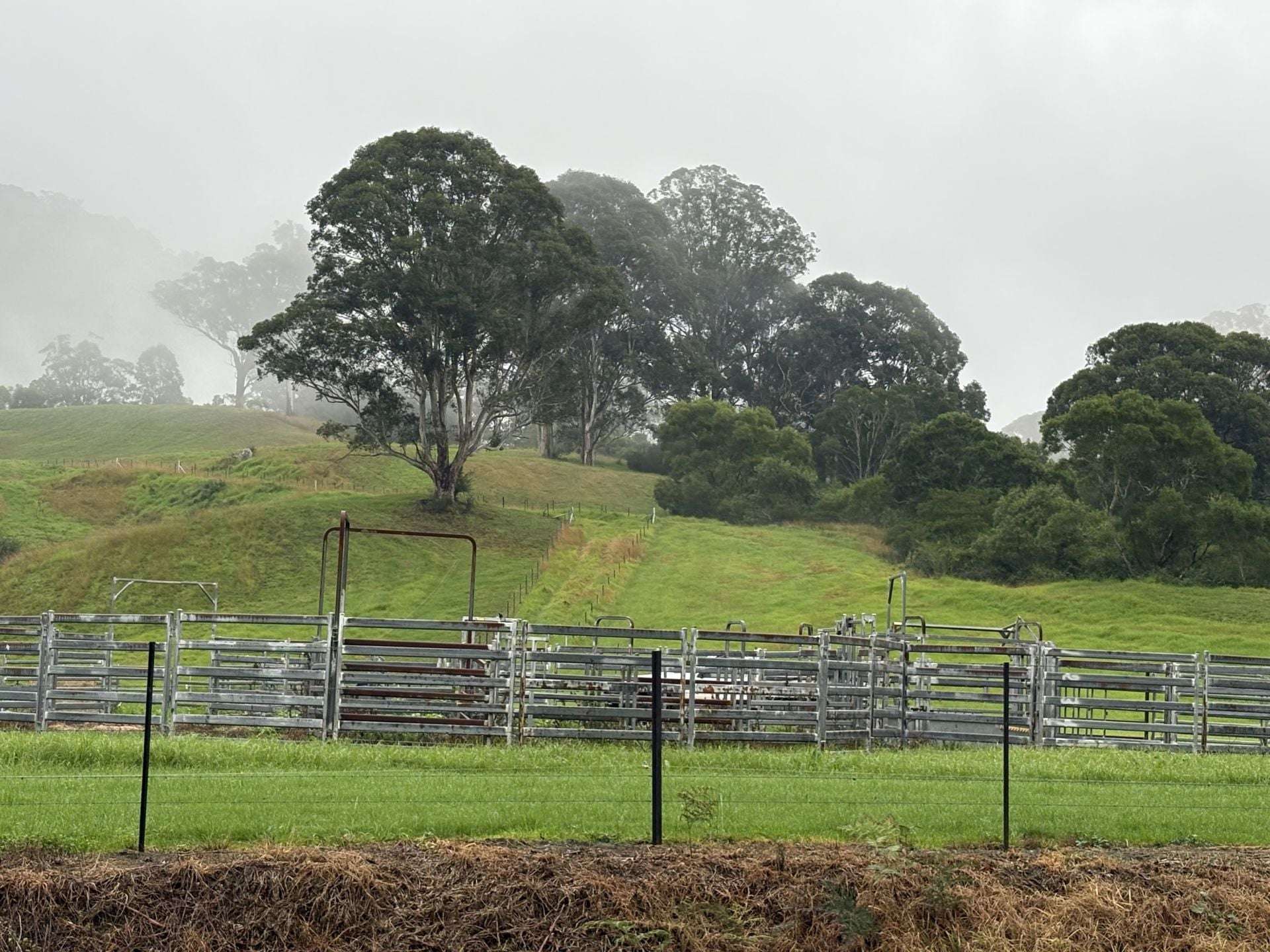 2393 Moss Vale Road, Kangaroo Valley For Sale by Farmbuy.com - image 7