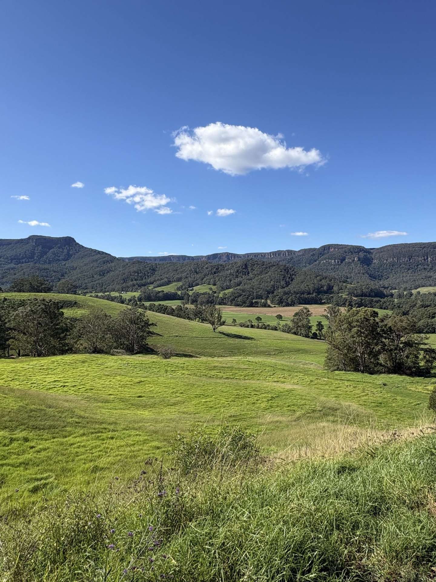 2393 Moss Vale Road, Kangaroo Valley For Sale by Farmbuy.com - image 7