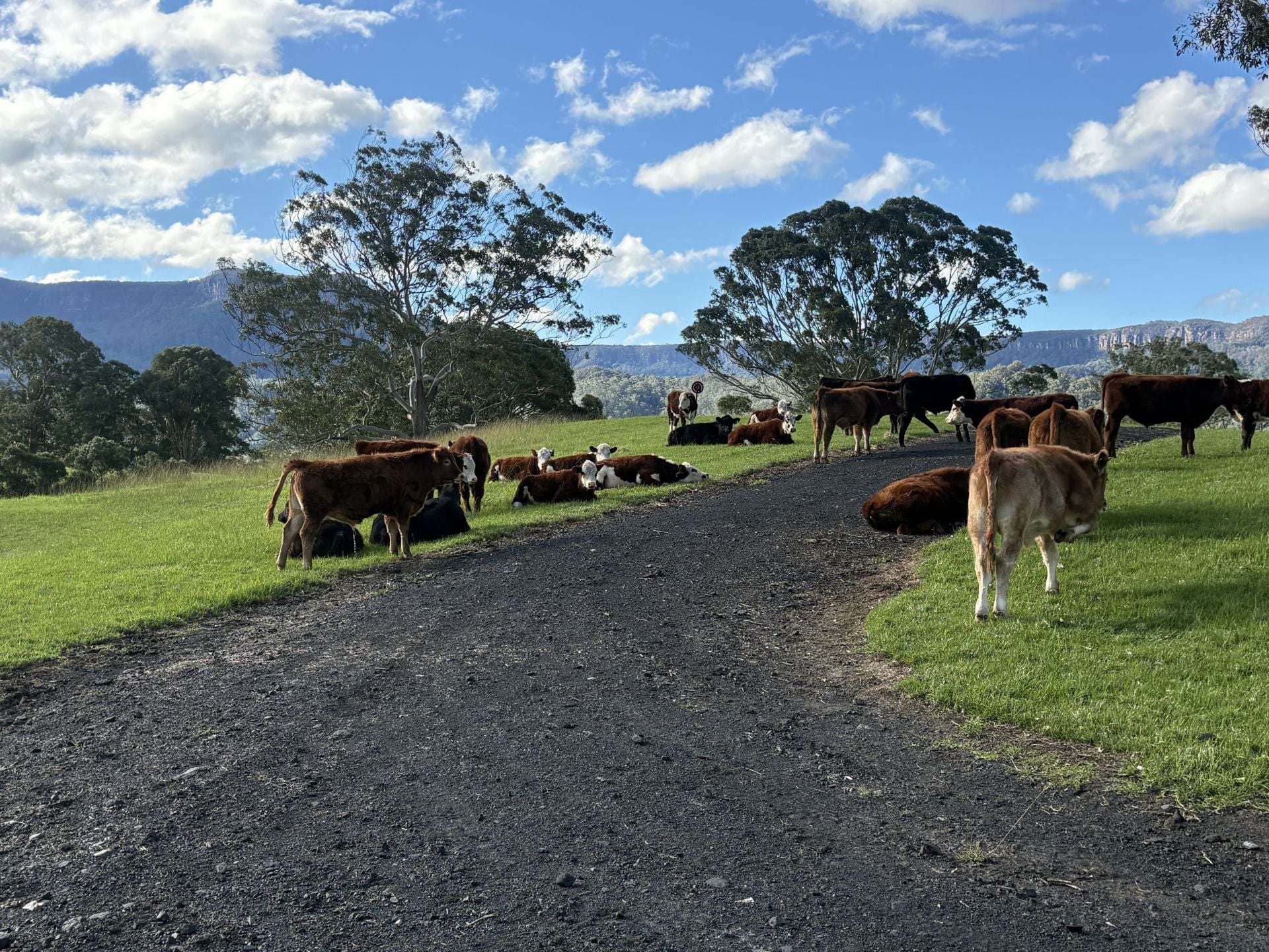 2393 Moss Vale Road, Kangaroo Valley For Sale by Farmbuy.com - image 2