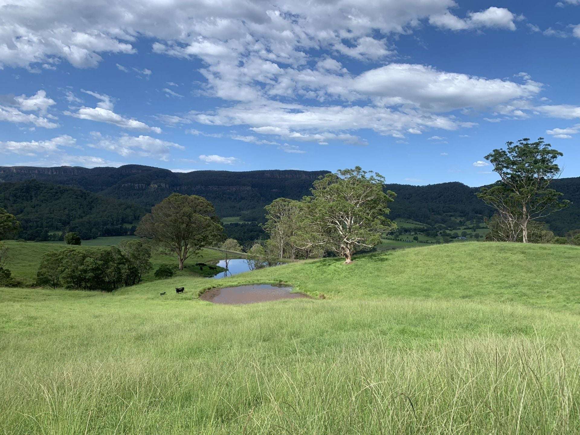 2393 Moss Vale Road, Kangaroo Valley For Sale by Farmbuy.com - image 34