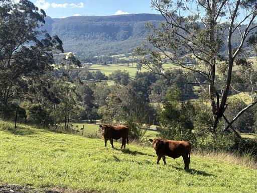 2393 Moss Vale Road, Kangaroo Valley NSW 2577