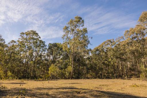 318 White Cedars Road, Mudgee NSW 2850