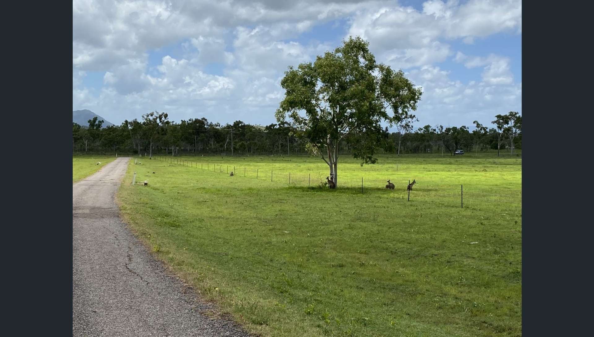 69 Squatters  Road, Brookhill For Sale by Farmbuy.com - image 12