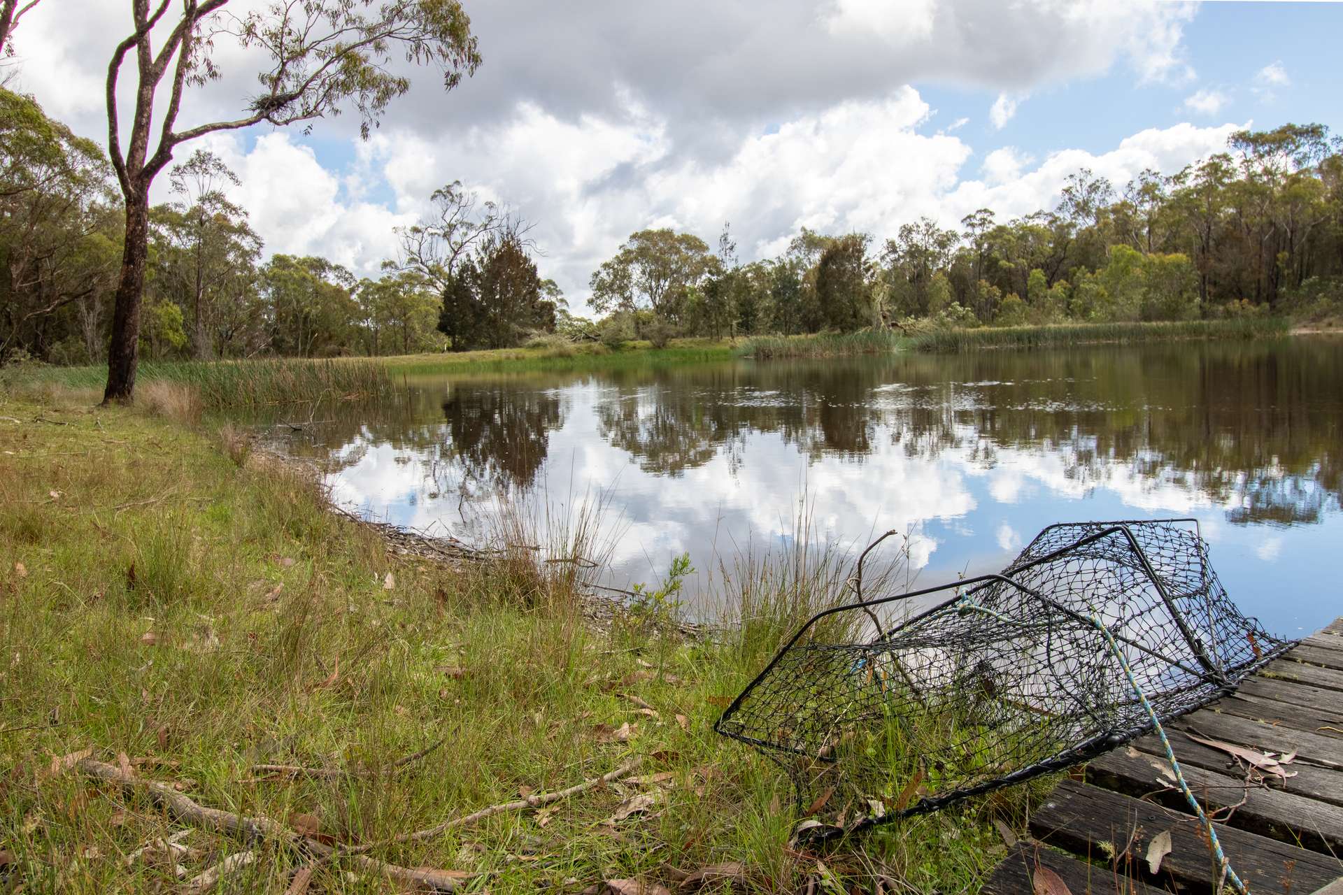 2094 Winterbourne, Walcha For Sale by Farmbuy.com - image 15