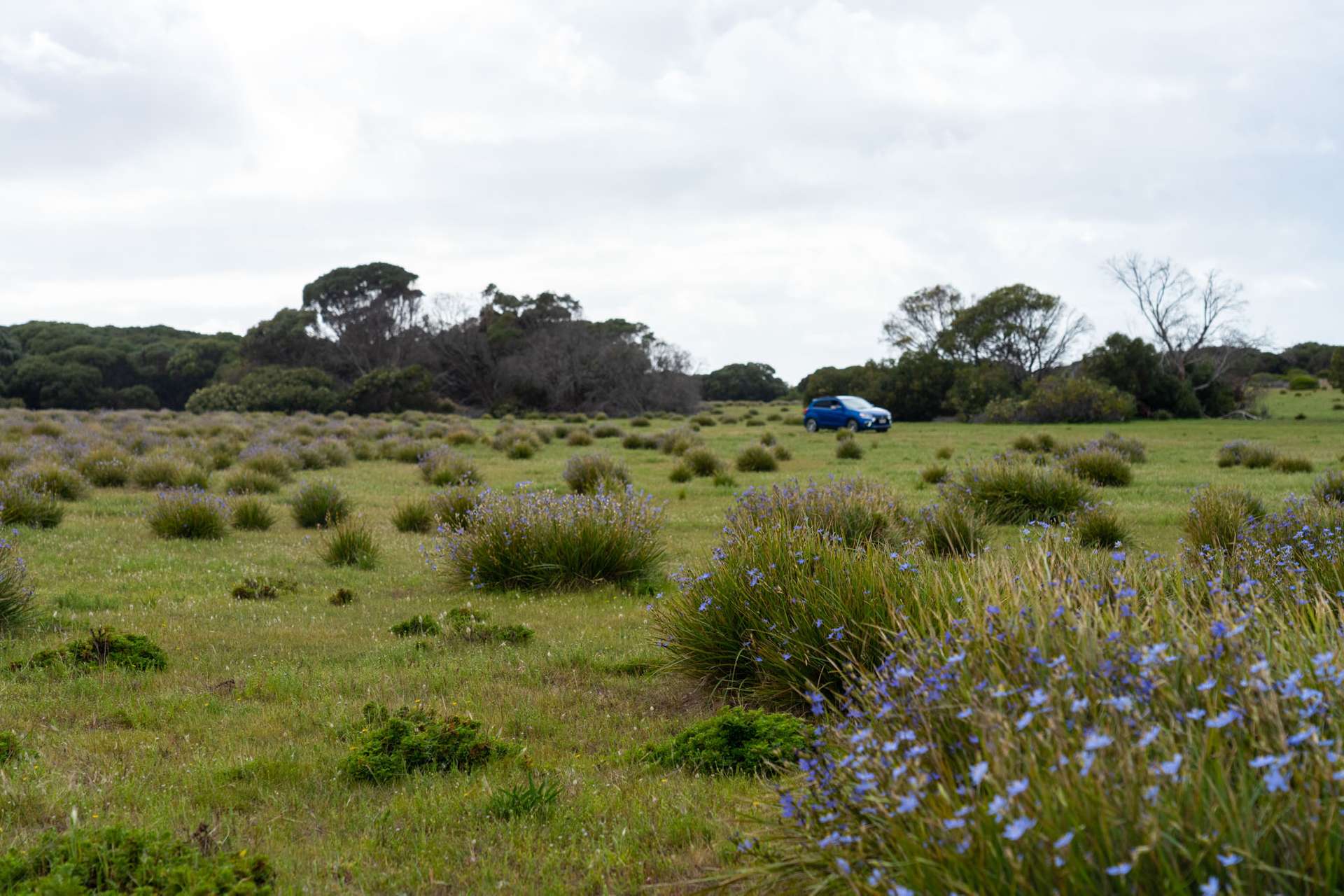 Lot 3,  Cape Hart Road, Porky Flat For Sale by Farmbuy.com - image 20