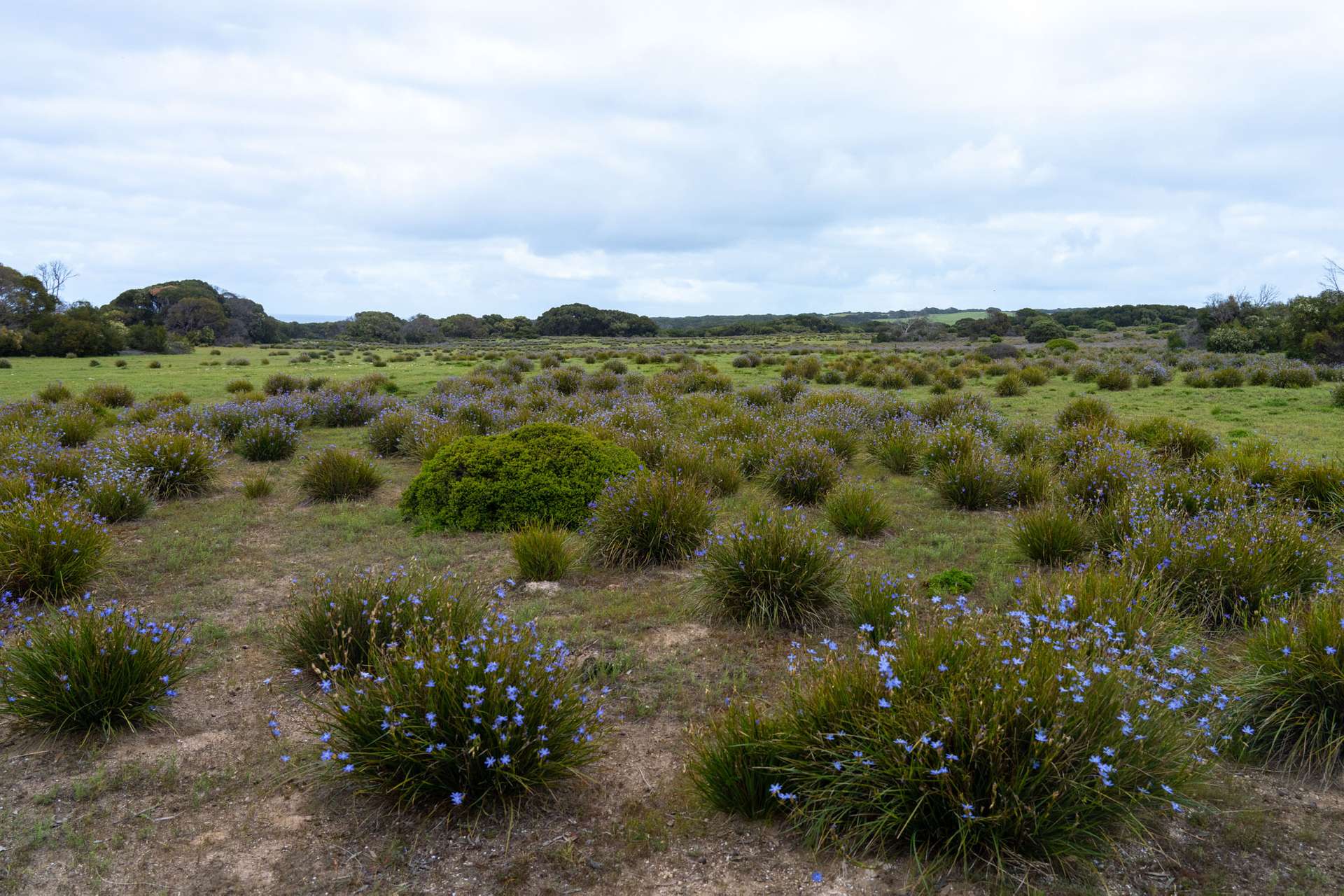 Lot 3,  Cape Hart Road, Porky Flat For Sale by Farmbuy.com - image 21