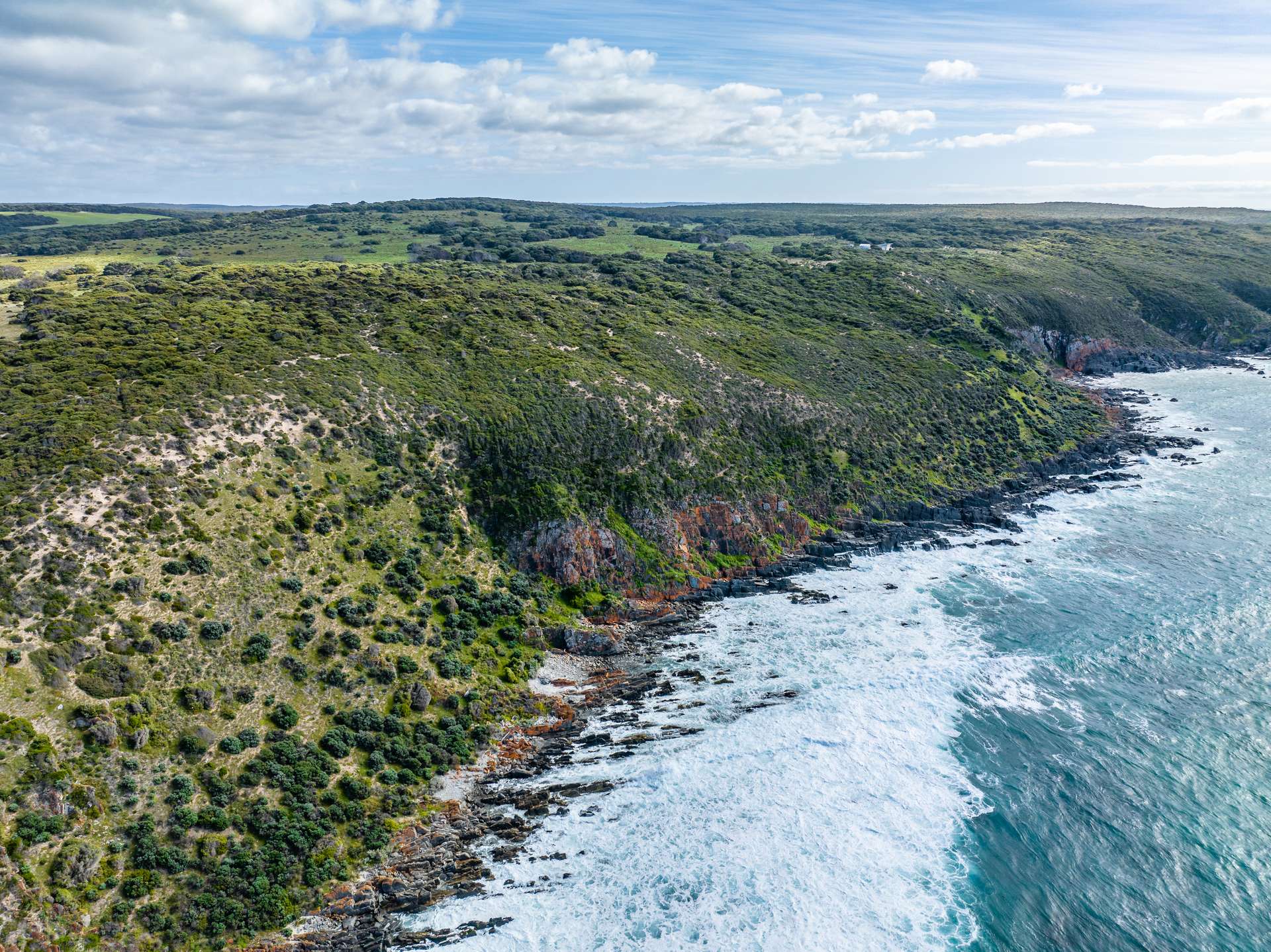 Lot 3,  Cape Hart Road, Porky Flat For Sale by Farmbuy.com - image 4