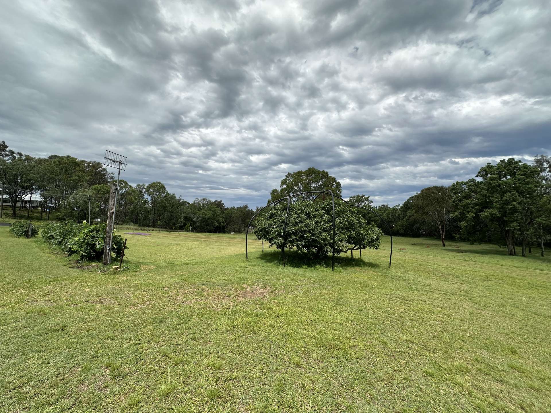 13 Brown Street, Nanango Sold by Farmbuy.com - image 20