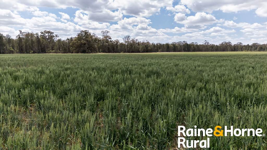 1186 Newell Highway, Gilgandra NSW 2827
