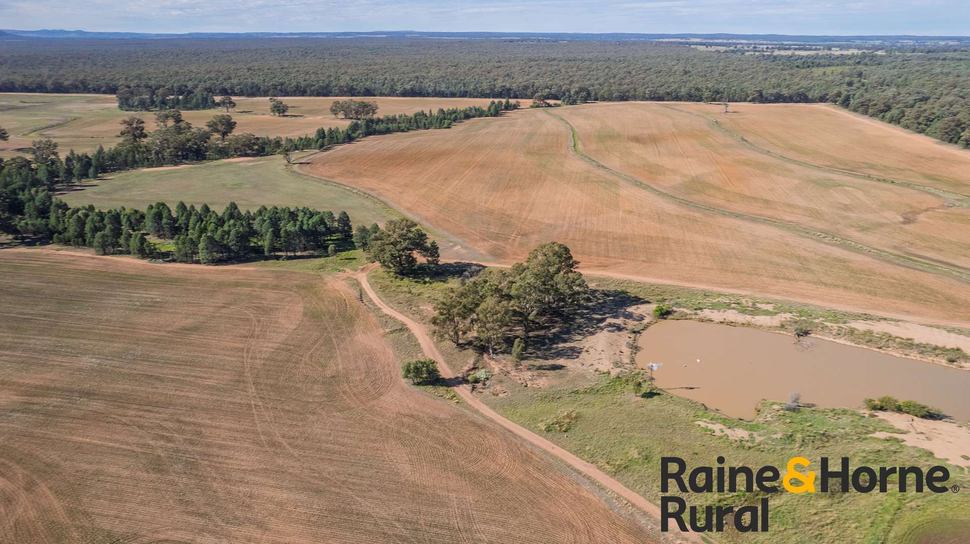 1186 Newell Highway, Gilgandra For Sale by Farmbuy.com - image 23
