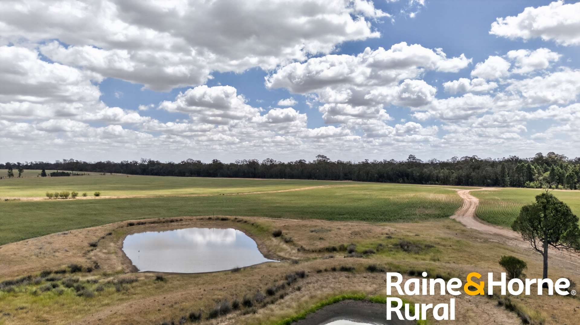 1186 Newell Highway, Gilgandra For Sale by Farmbuy.com - image 4