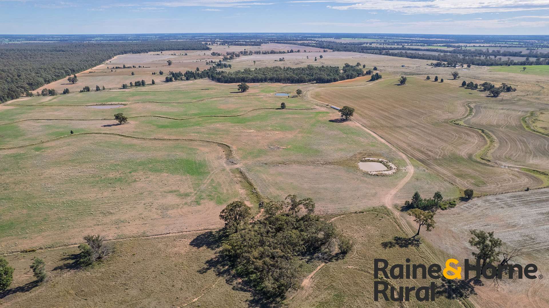 1186 Newell Highway, Gilgandra For Sale by Farmbuy.com - image 20