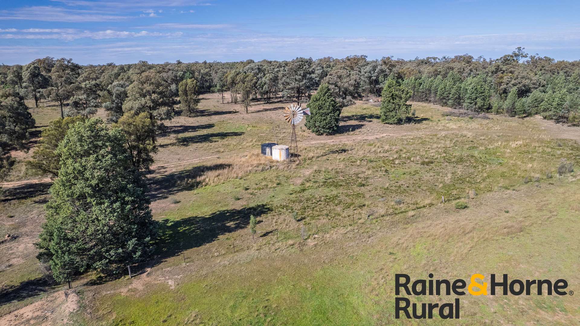 1186 Newell Highway, Gilgandra For Sale by Farmbuy.com - image 25