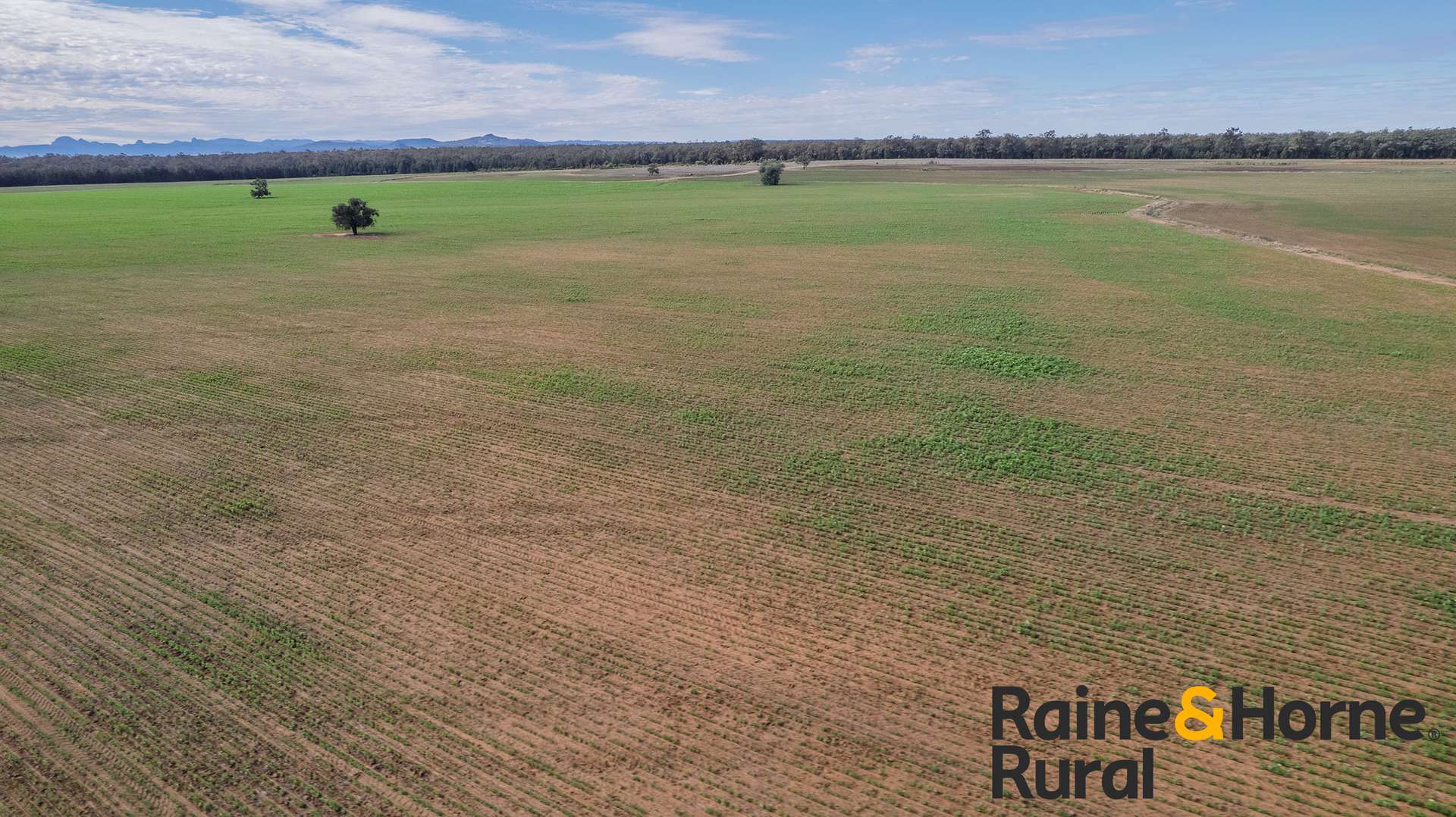 1186 Newell Highway, Gilgandra For Sale by Farmbuy.com - image 26