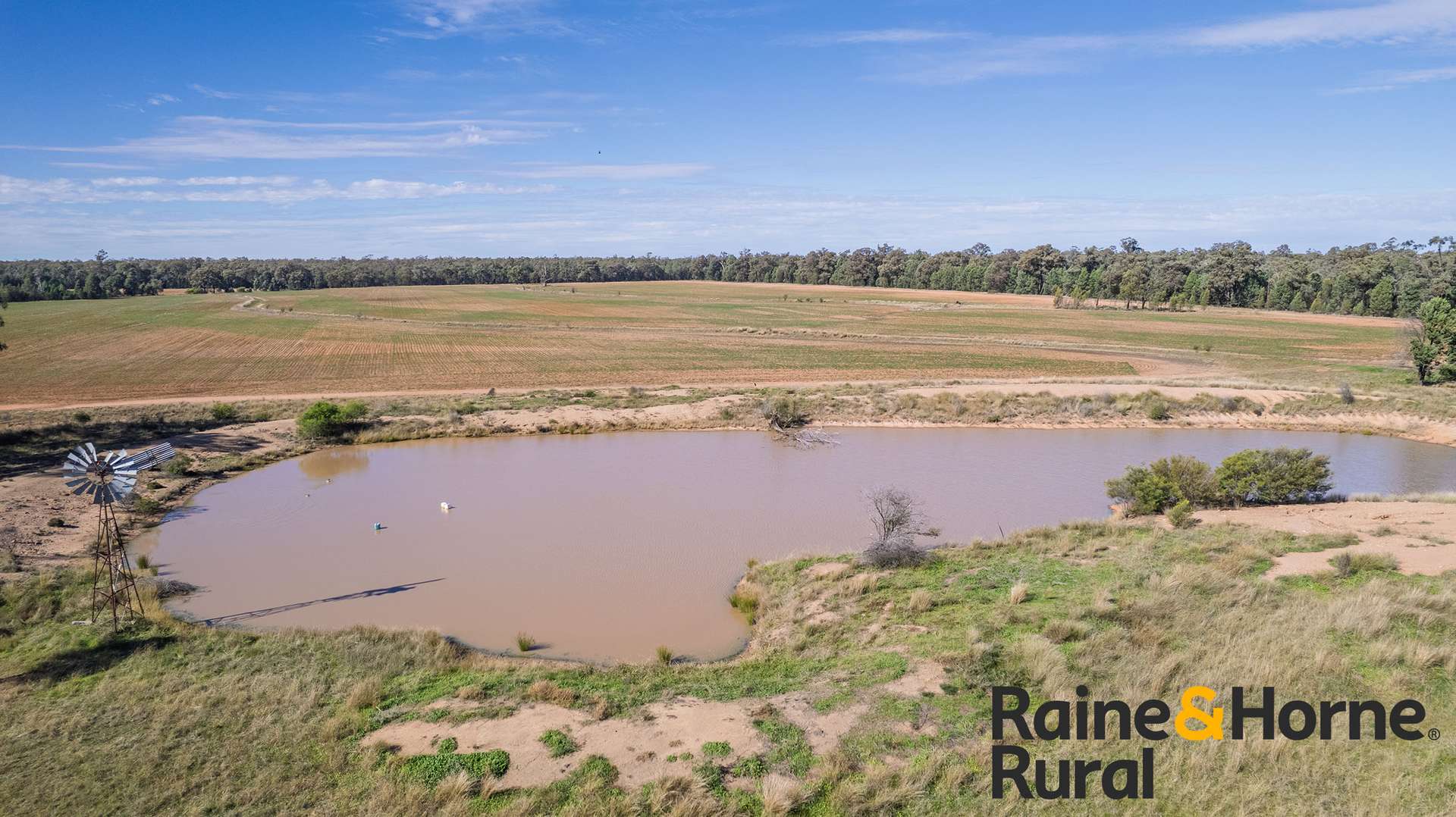 1186 Newell Highway, Gilgandra For Sale by Farmbuy.com - image 22