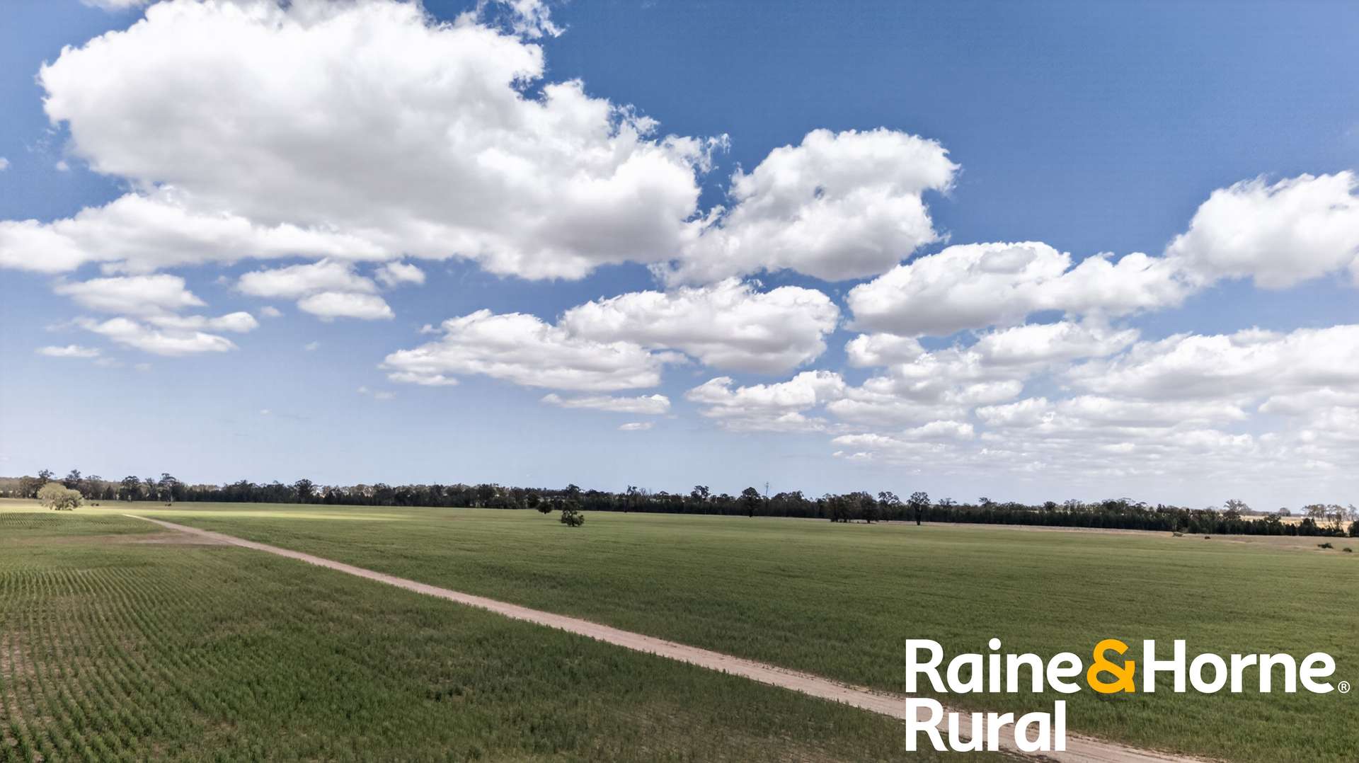 1186 Newell Highway, Gilgandra For Sale by Farmbuy.com - image 3