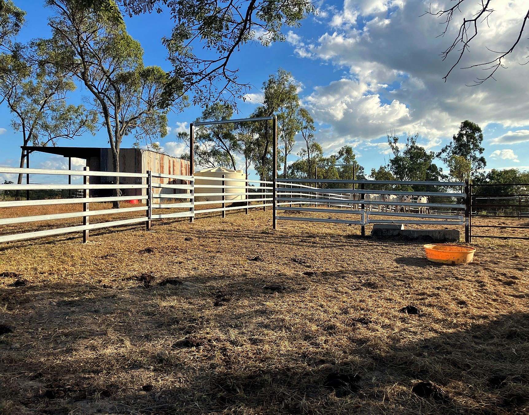 Thoopara For Sale by Farmbuy.com - image 23