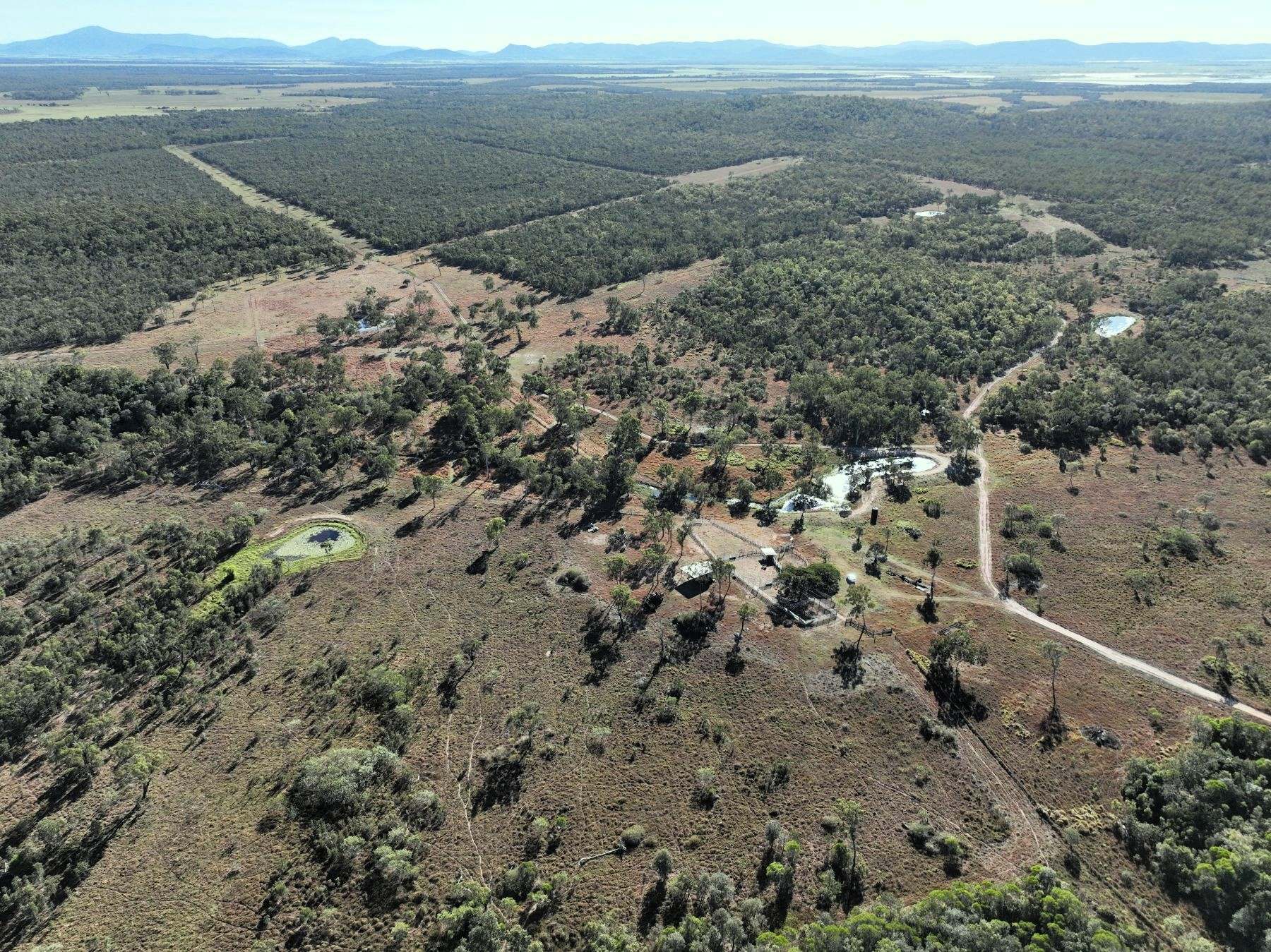 Thoopara For Sale by Farmbuy.com - image 19