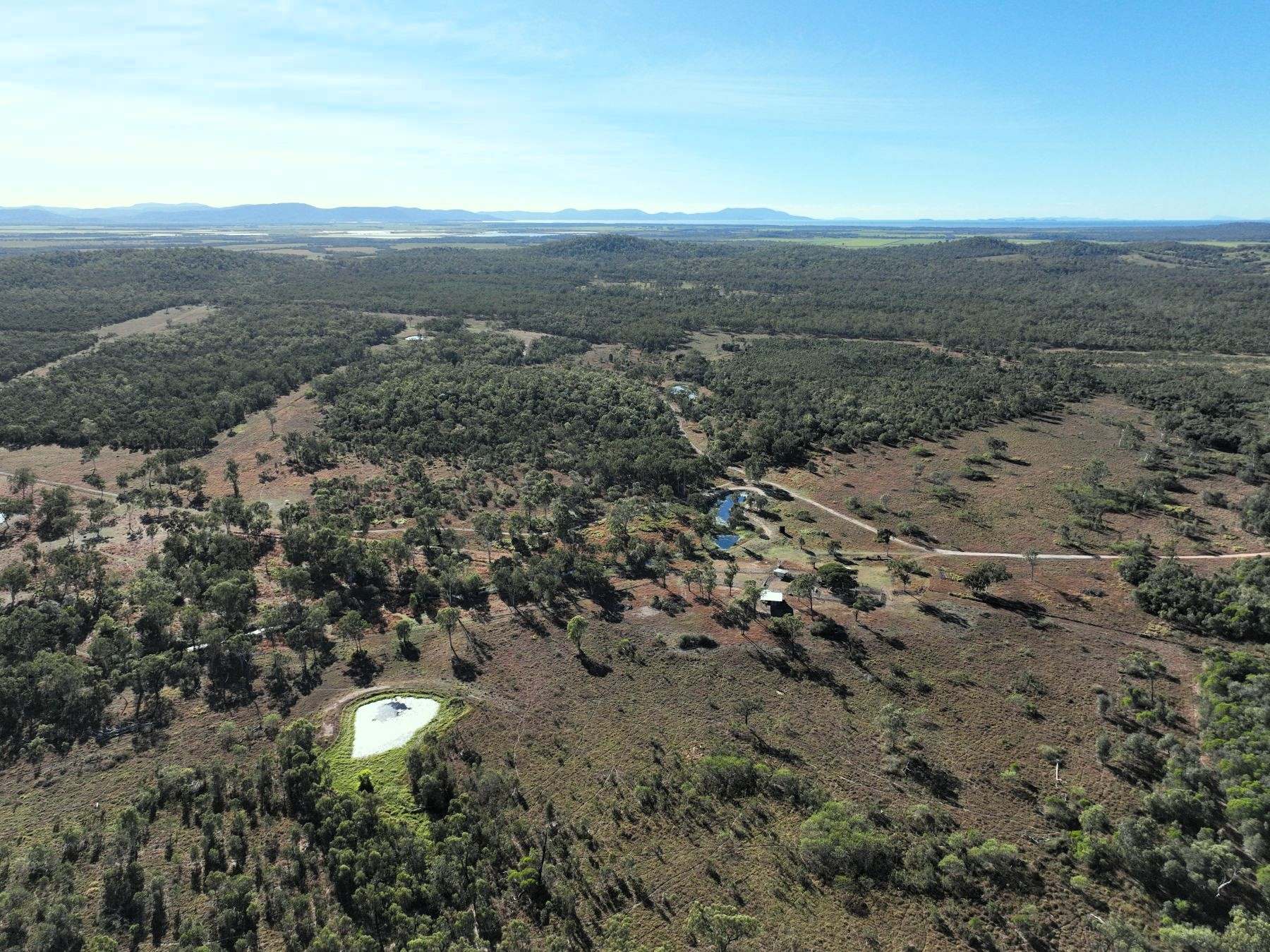 Thoopara For Sale by Farmbuy.com - image 21
