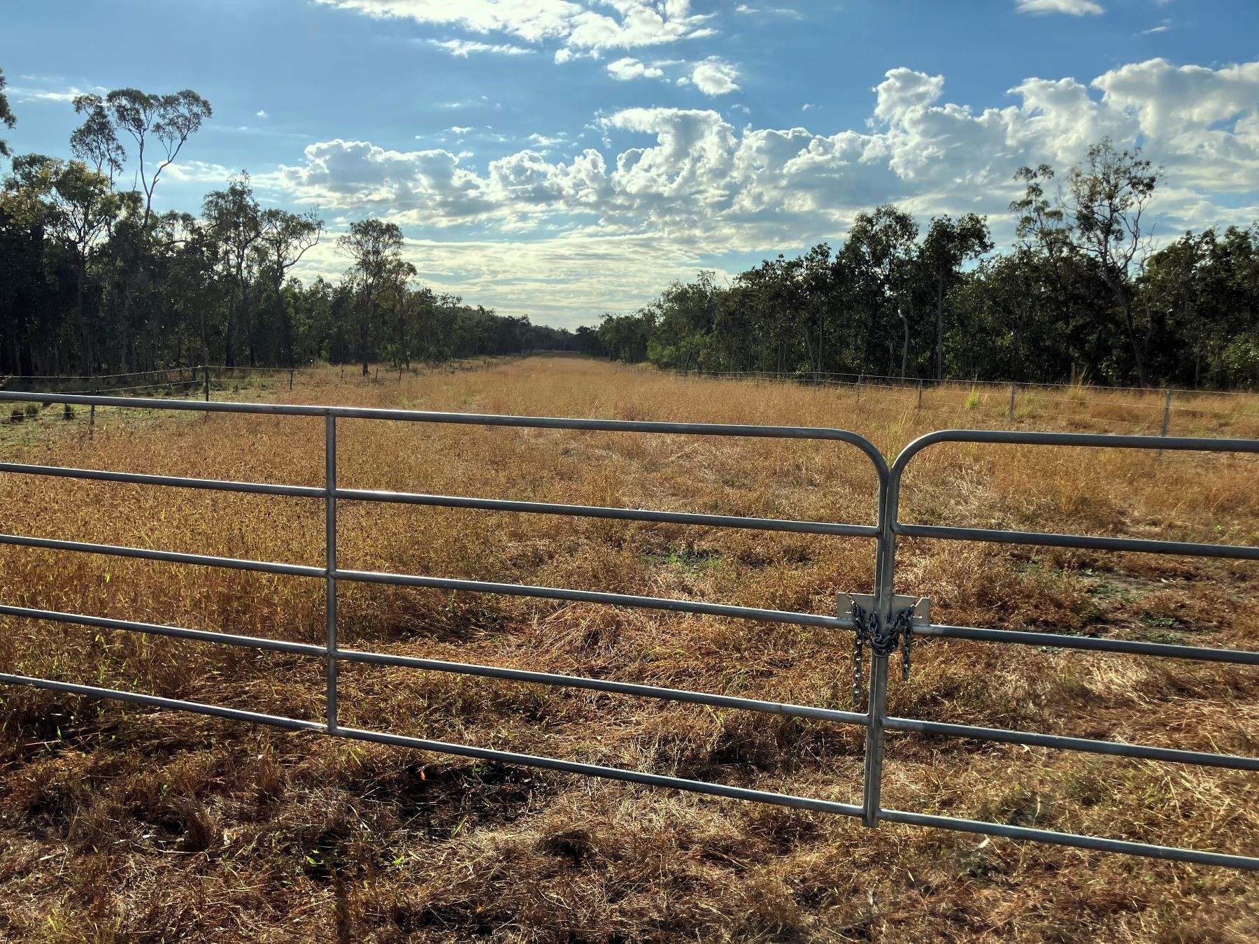 Thoopara For Sale by Farmbuy.com - image 11
