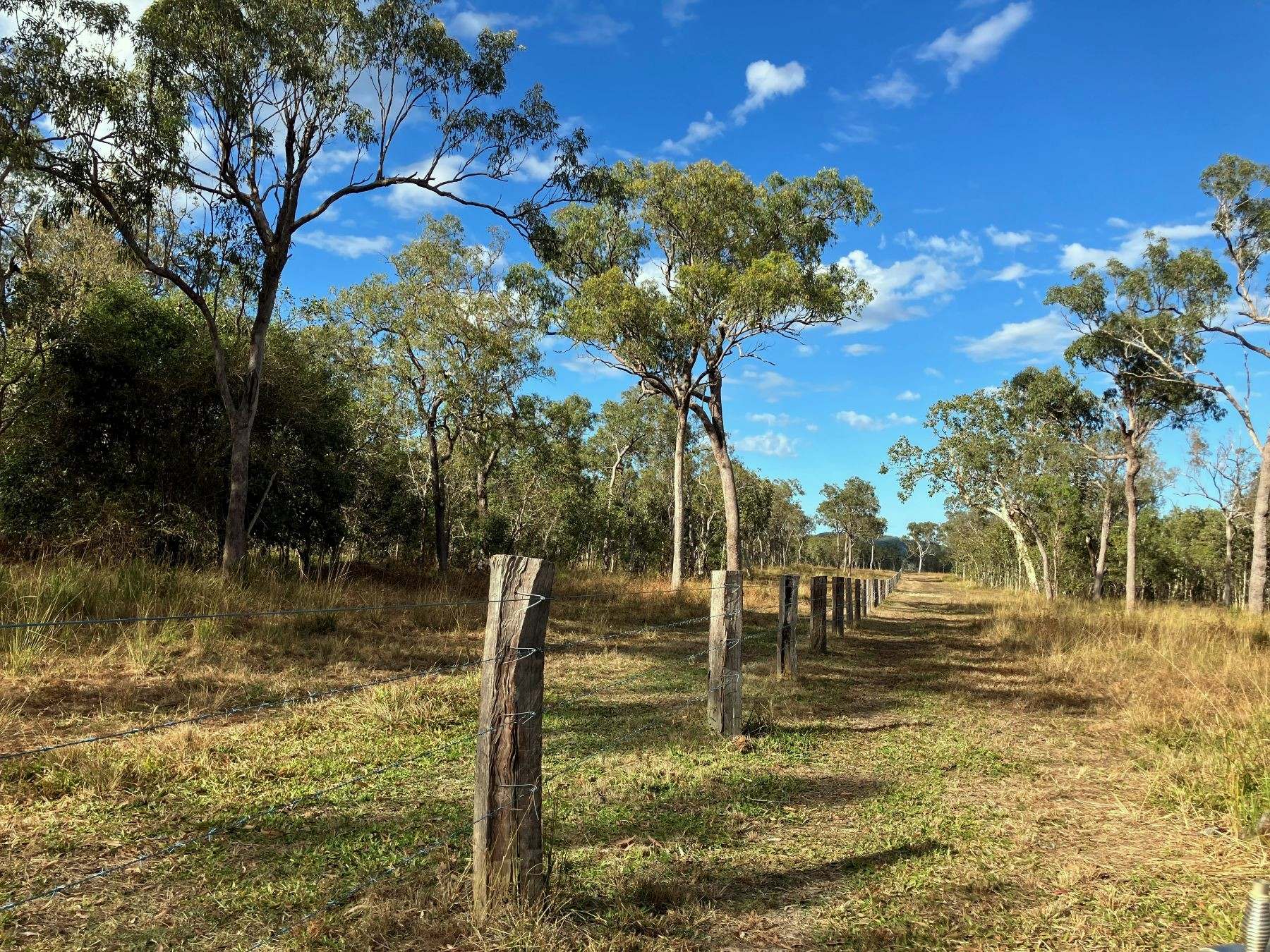 Thoopara For Sale by Farmbuy.com - image 12