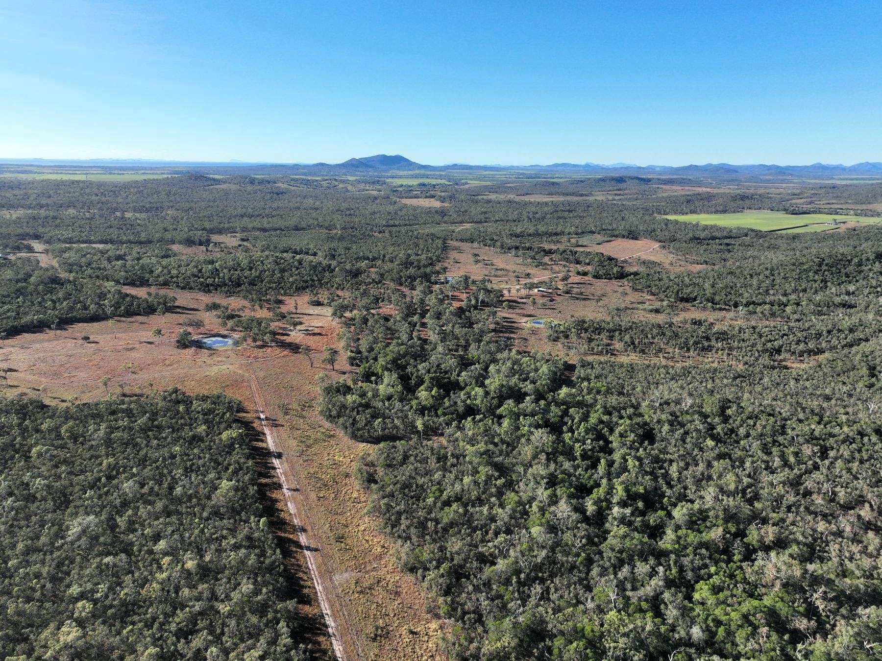 Thoopara For Sale by Farmbuy.com - image 20