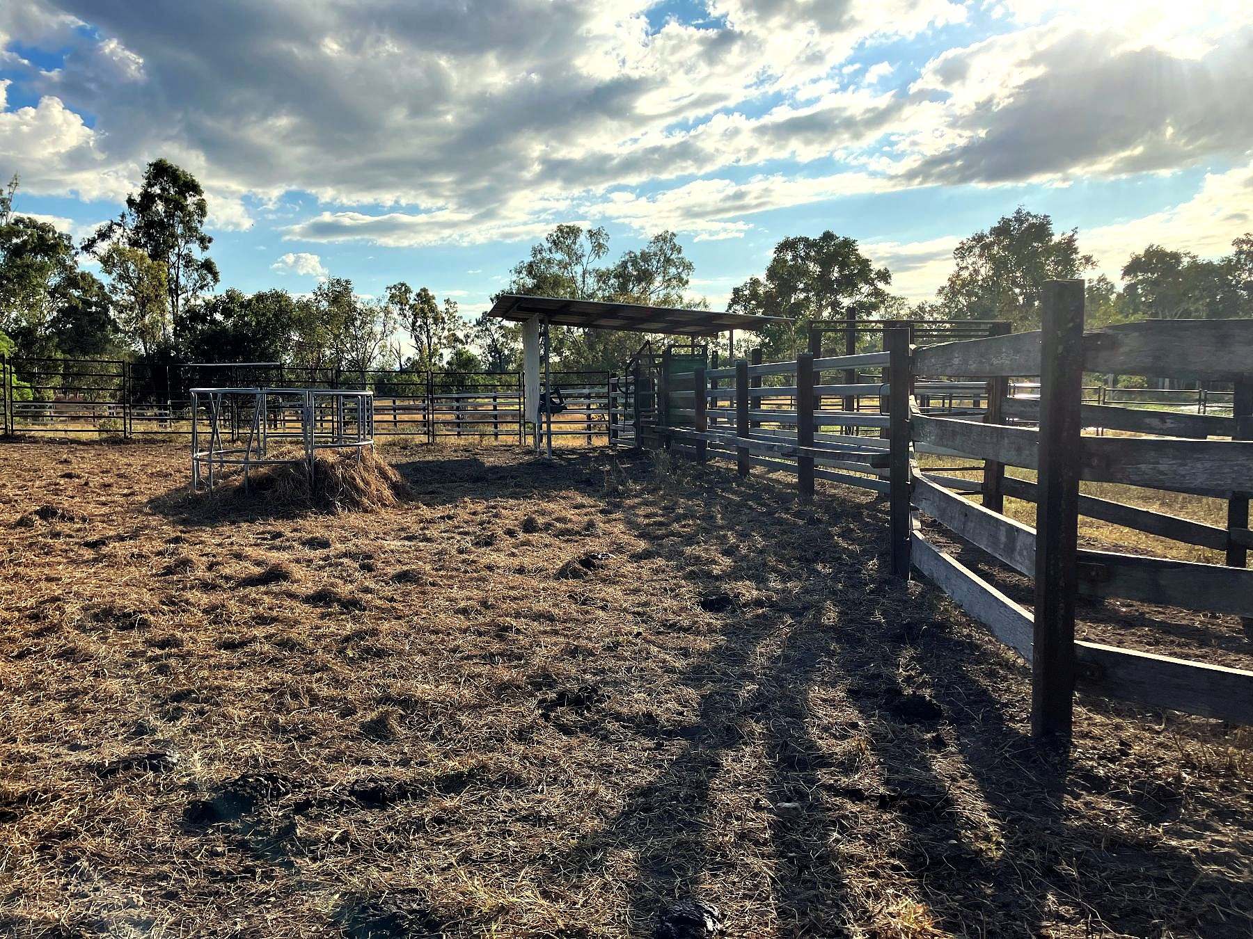 Thoopara For Sale by Farmbuy.com - image 25
