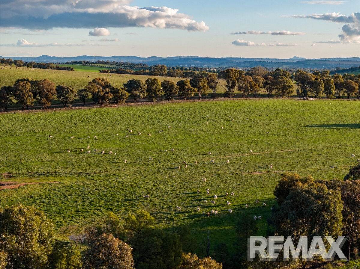 880 Pattersons Road, Harefield For Sale by Farmbuy.com - image 26