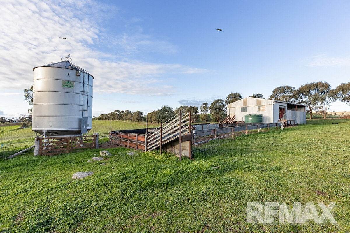 880 Pattersons Road, Harefield For Sale by Farmbuy.com - image 22