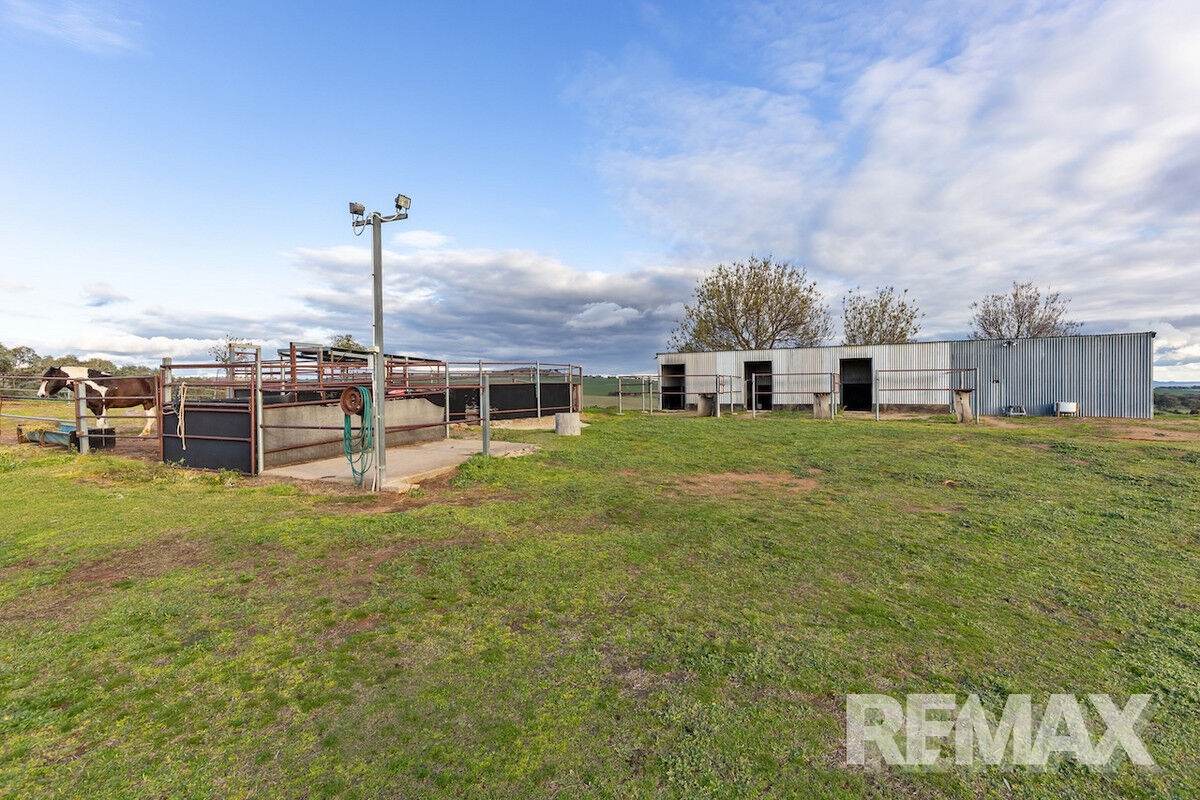 880 Pattersons Road, Harefield For Sale by Farmbuy.com - image 24