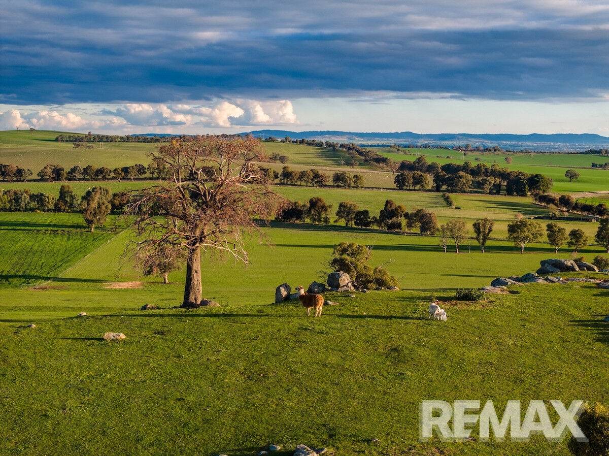 880 Pattersons Road, Harefield For Sale by Farmbuy.com - image 25