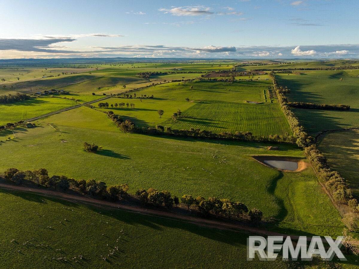 880 Pattersons Road, Harefield For Sale by Farmbuy.com - image 6